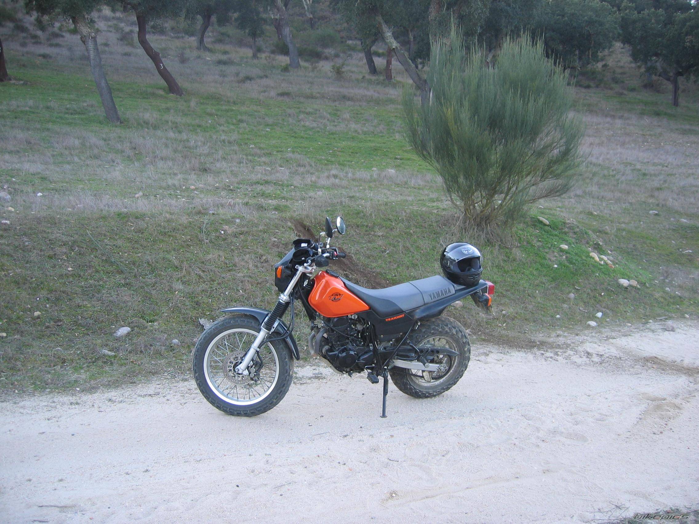 Photo 282277