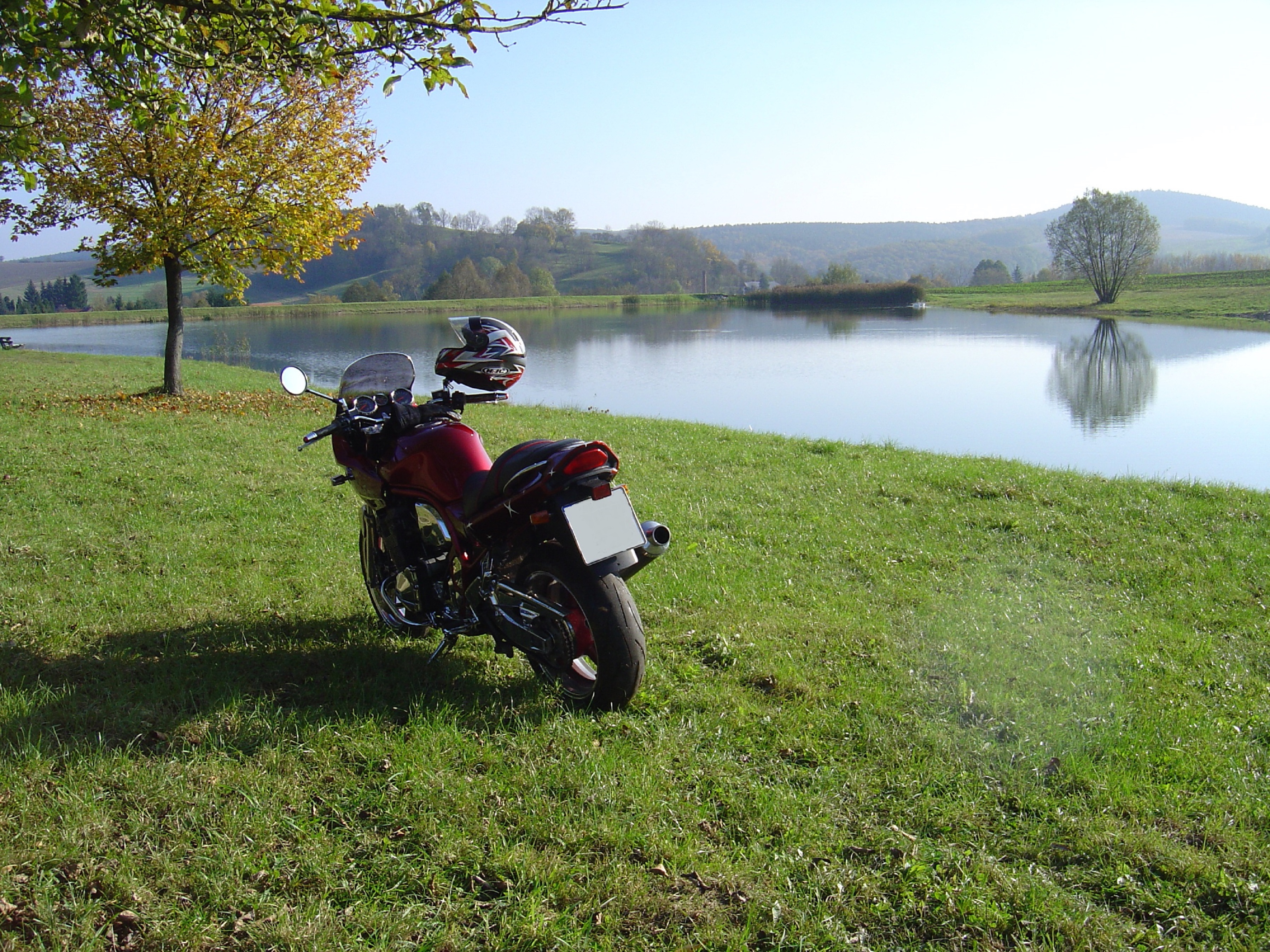 Photo 2822798