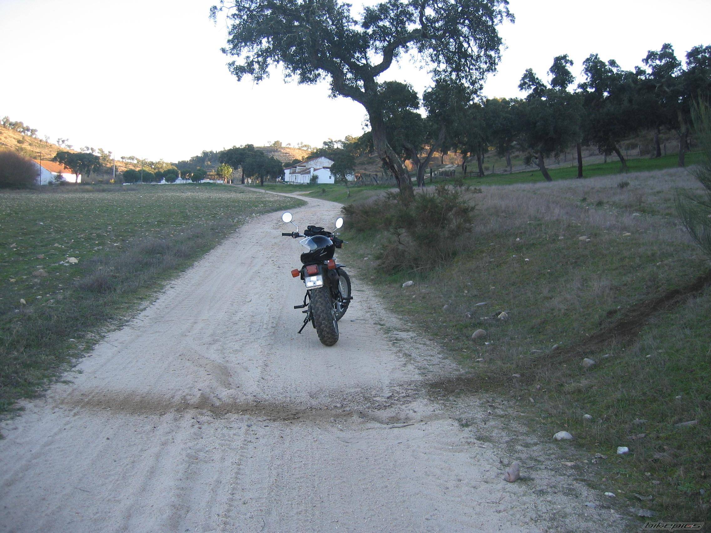 Photo 282282