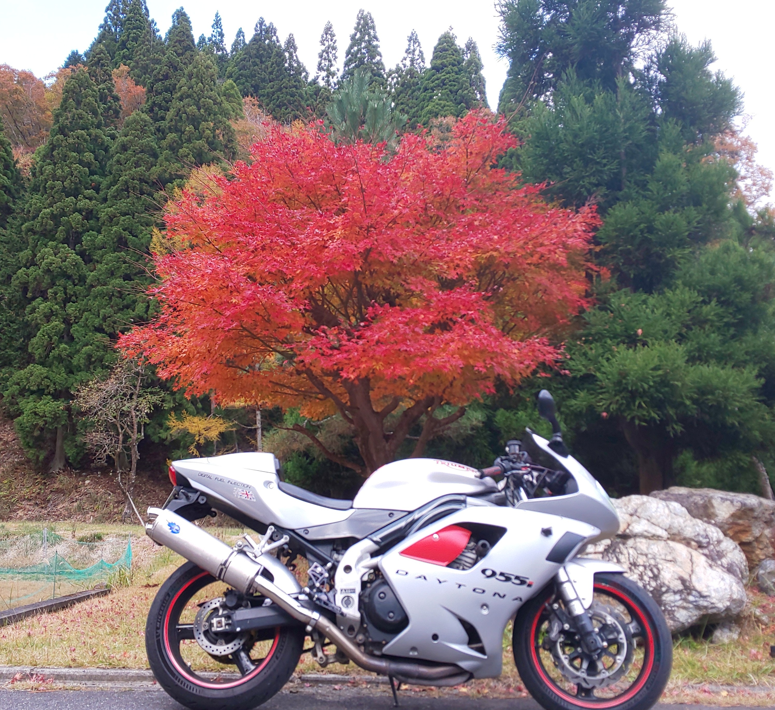 Photo 2822938