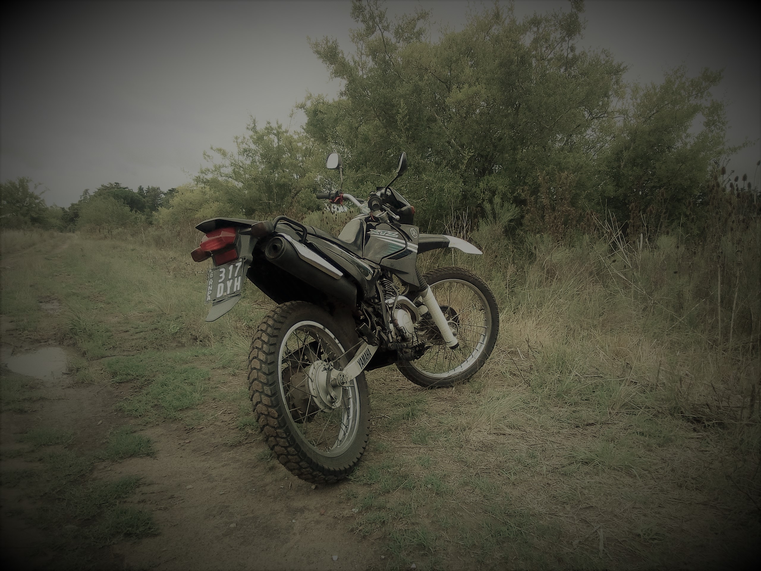 Photo 2823163
