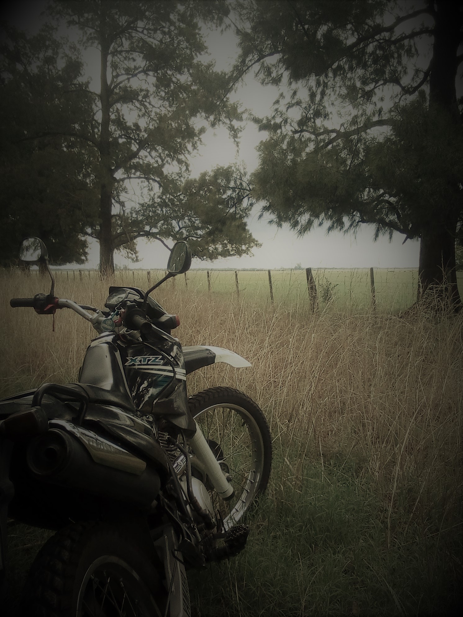 Photo 2823164