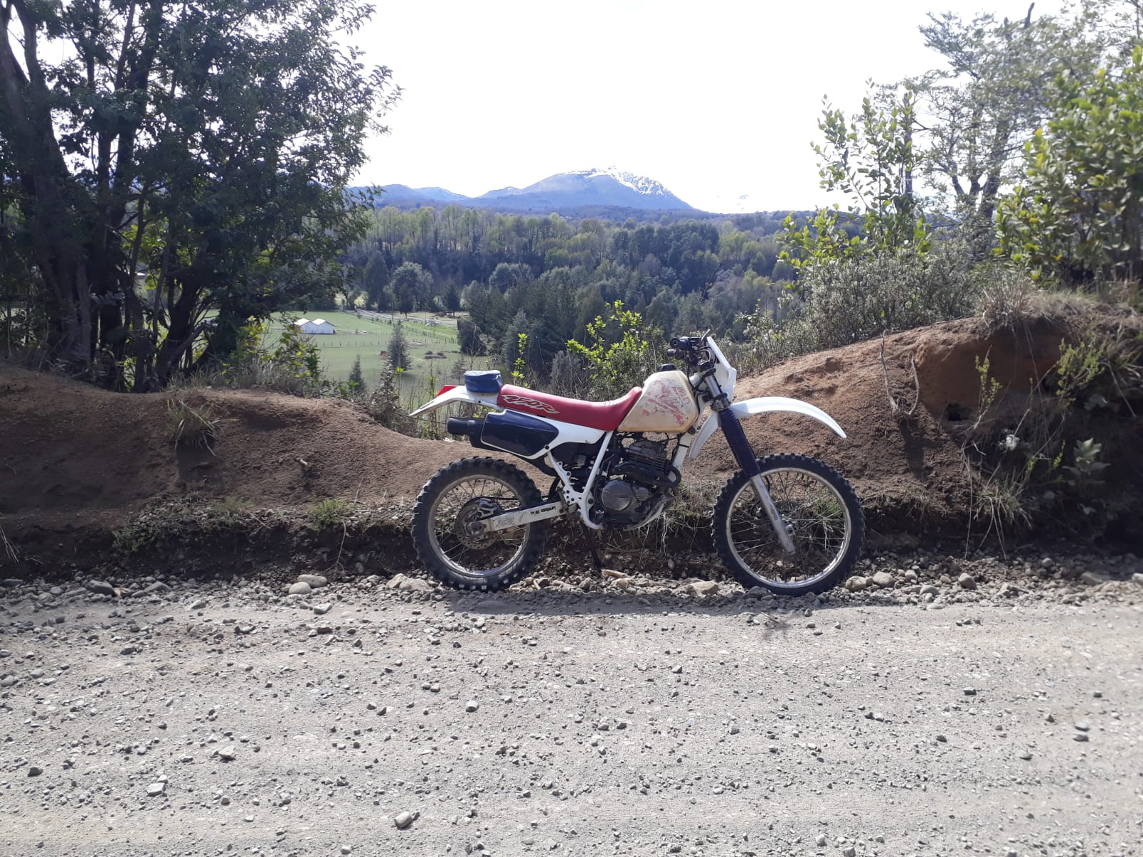 XR 250