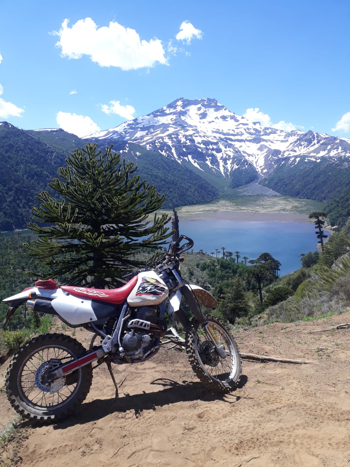XR 400