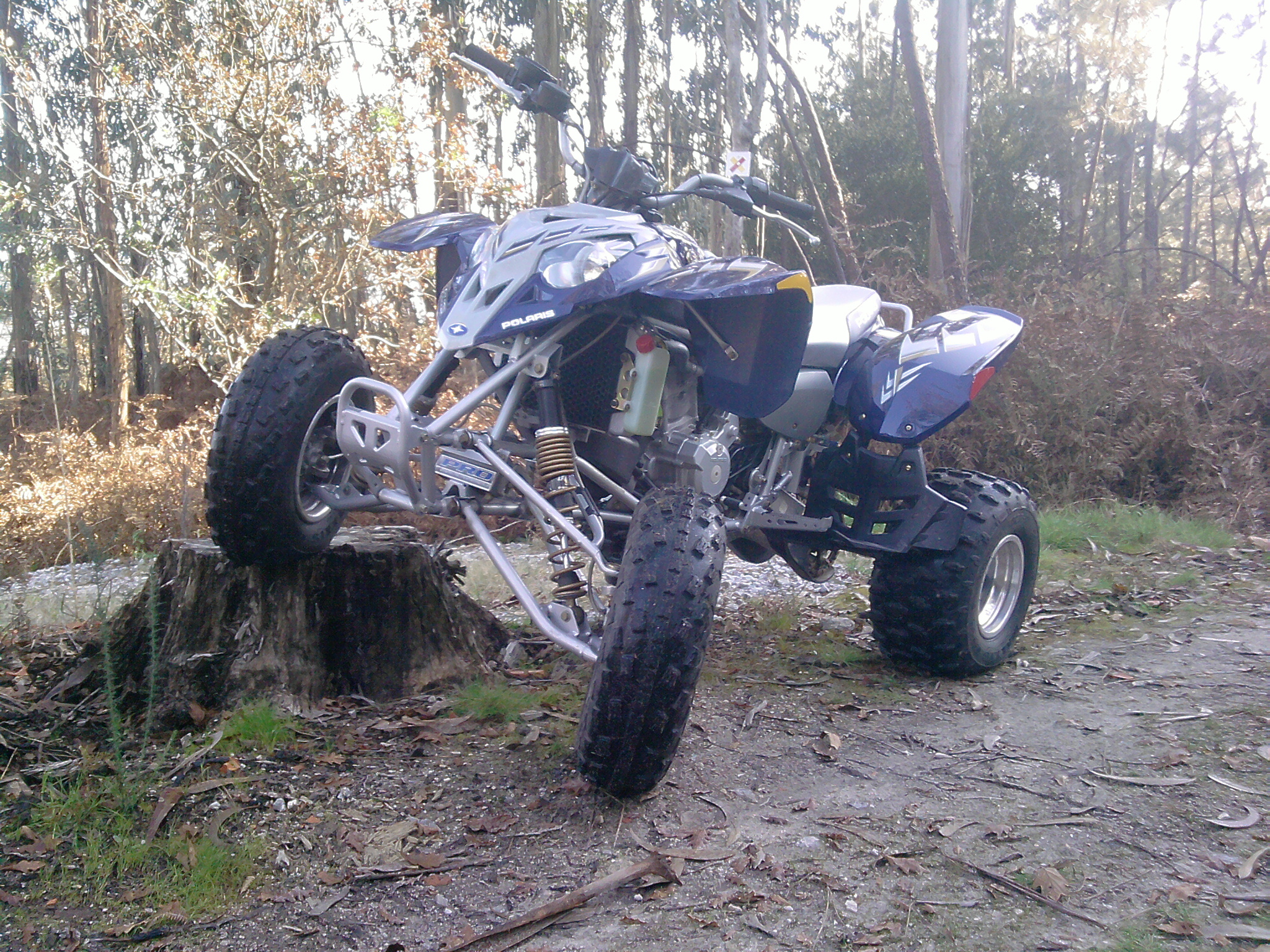 Photo 2823208