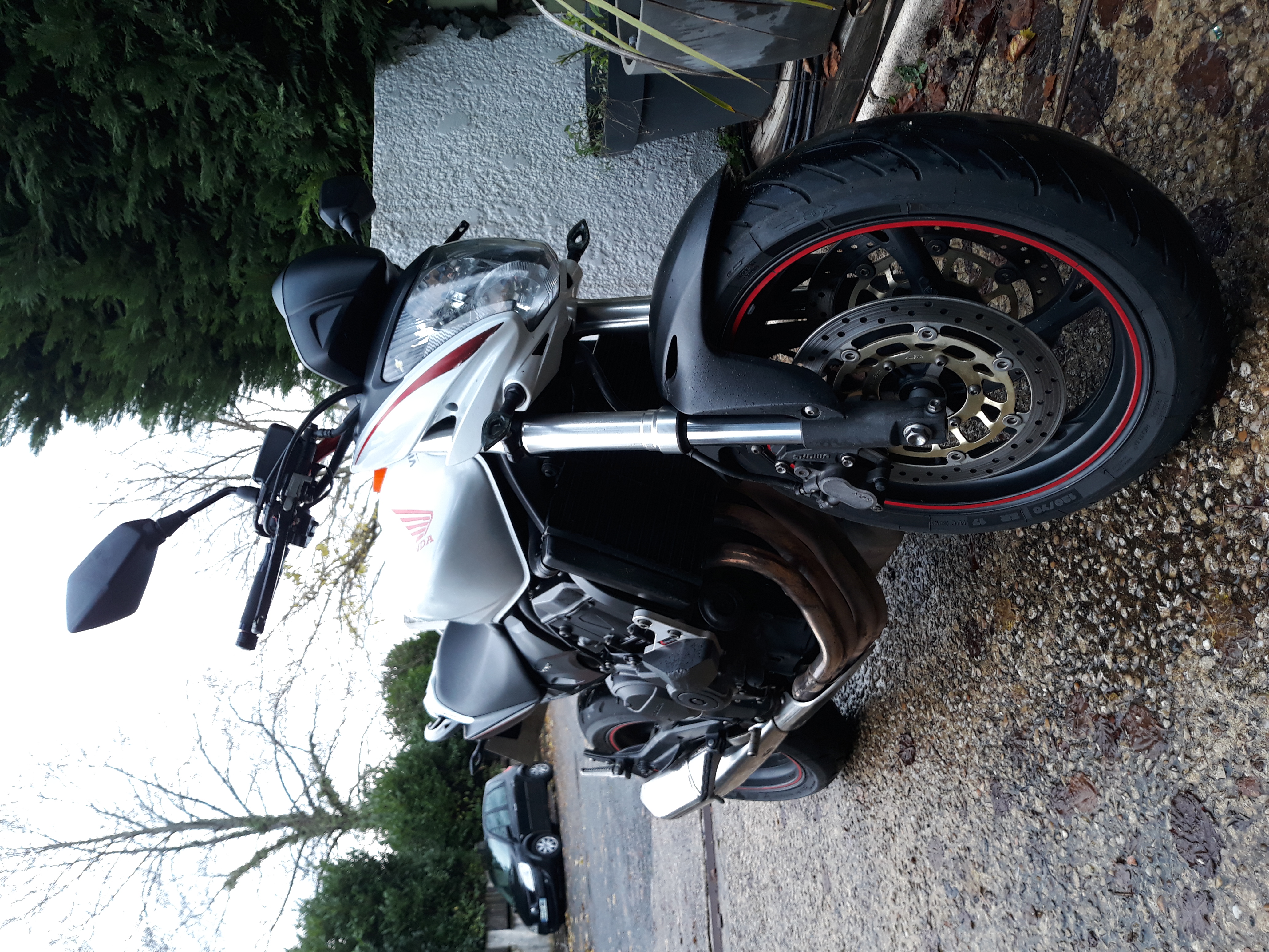 Photo 2823214