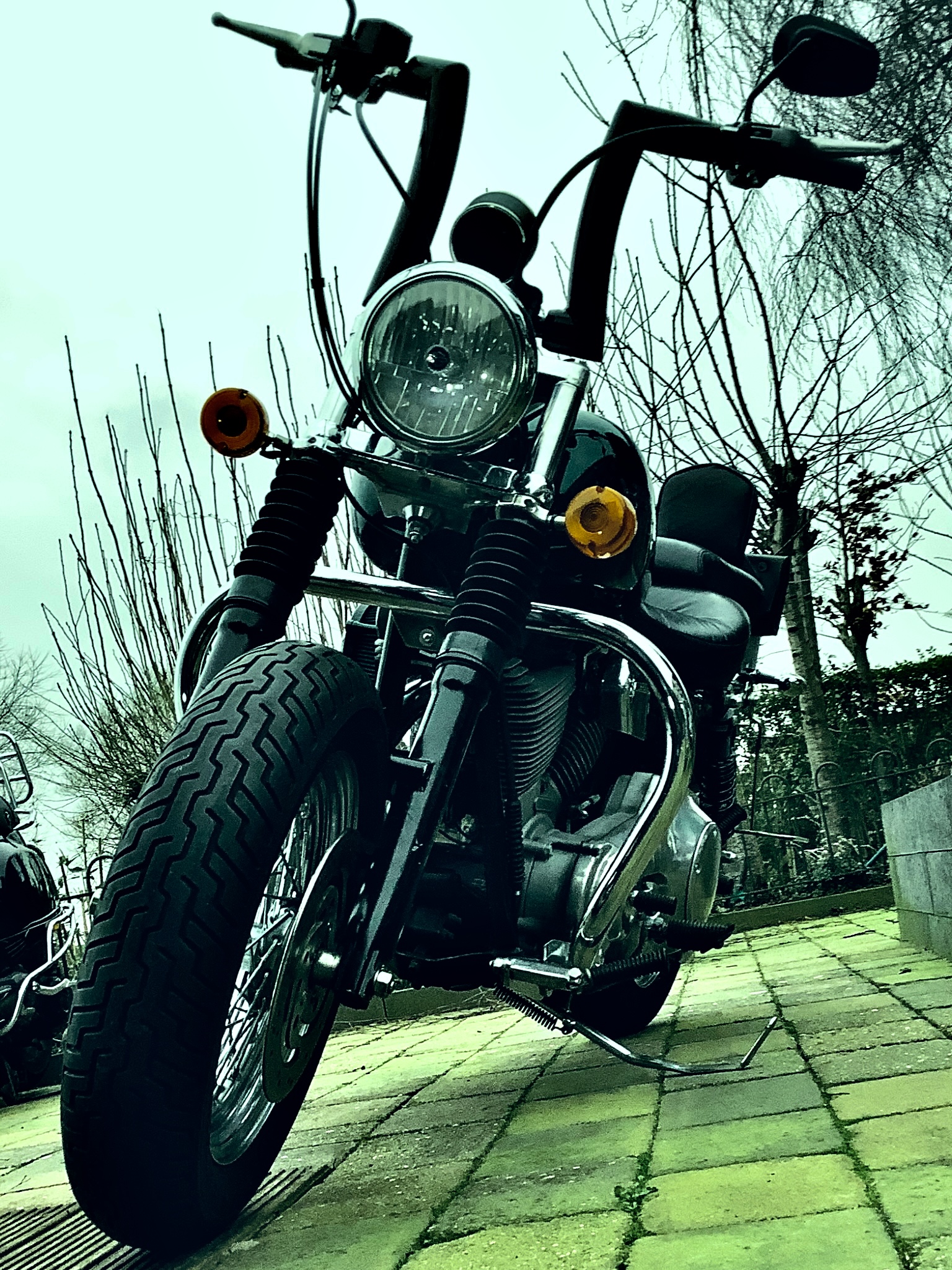 Bike Photo 2823228