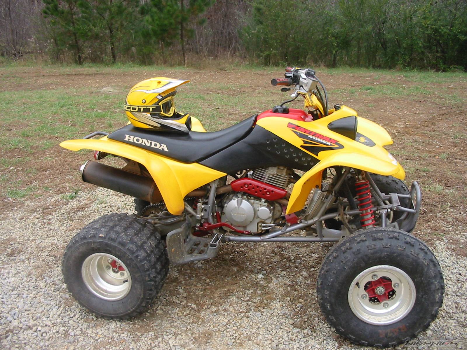Photo 282329