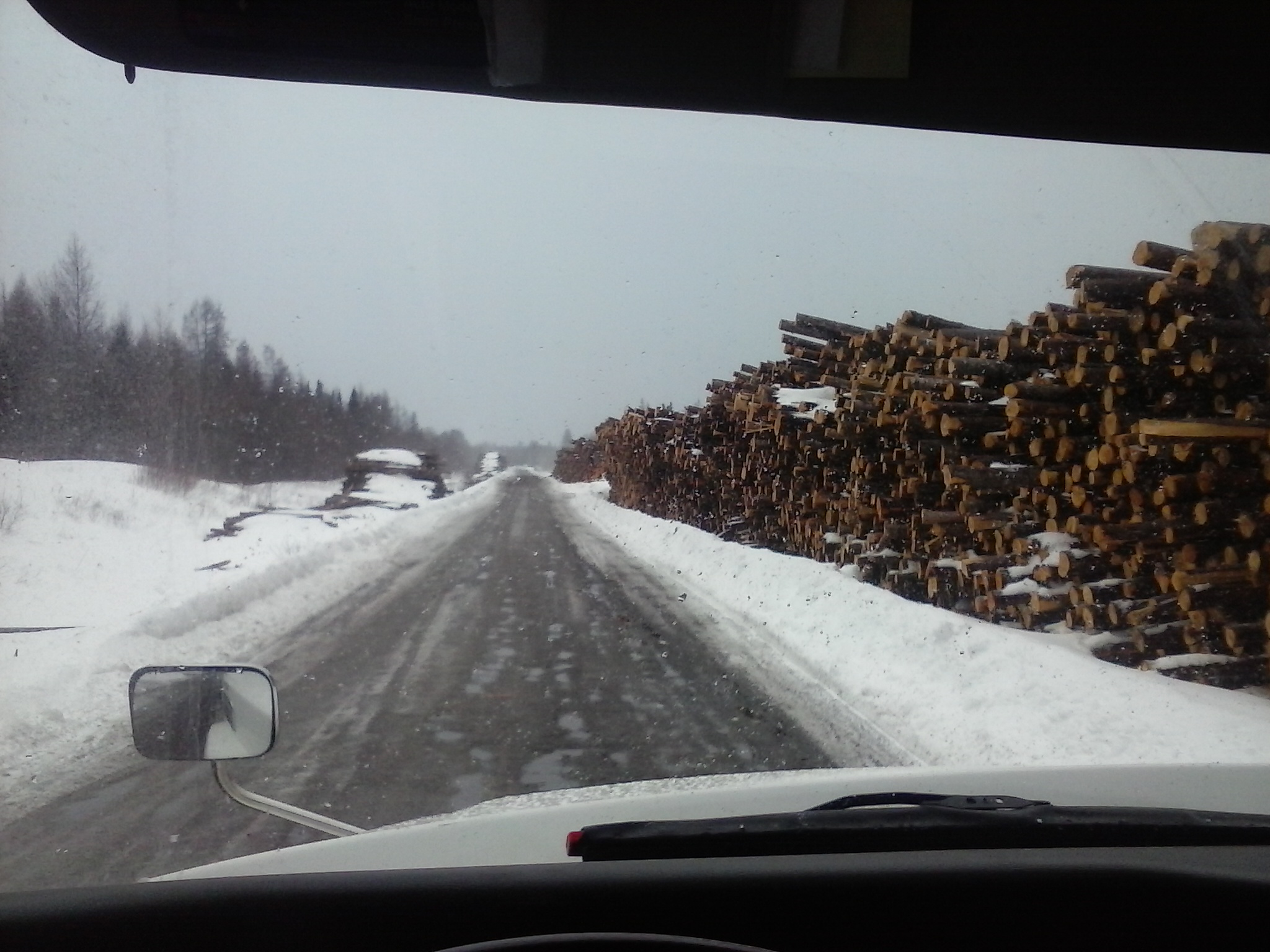 Photo 2823317
