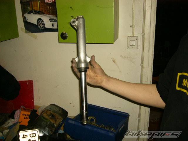Bike Photo 282337