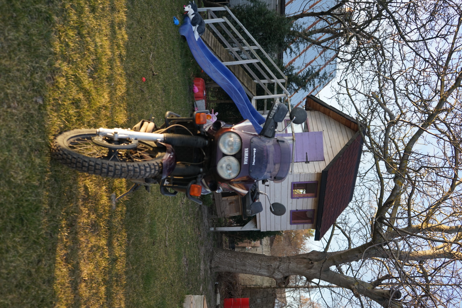 Photo 2823387
