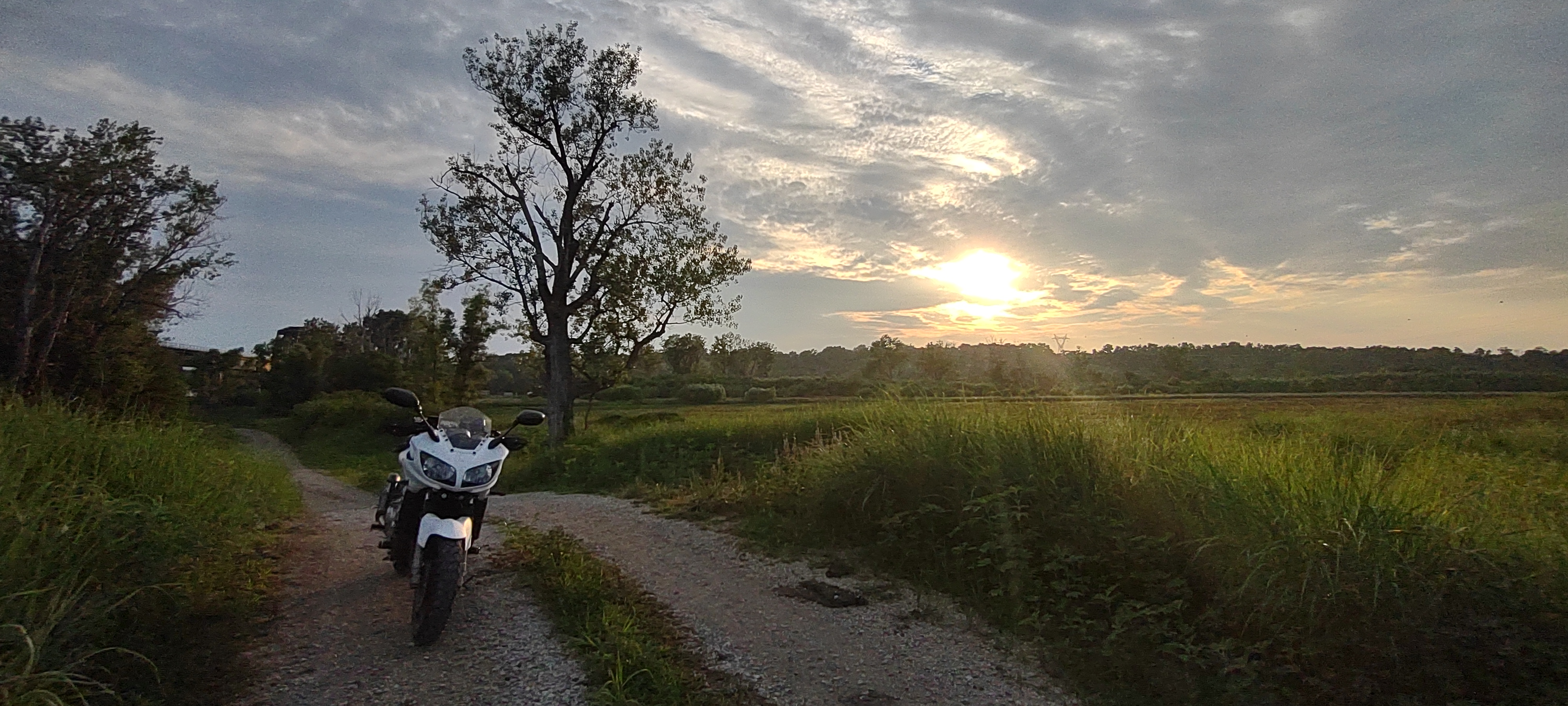 Photo 2823414