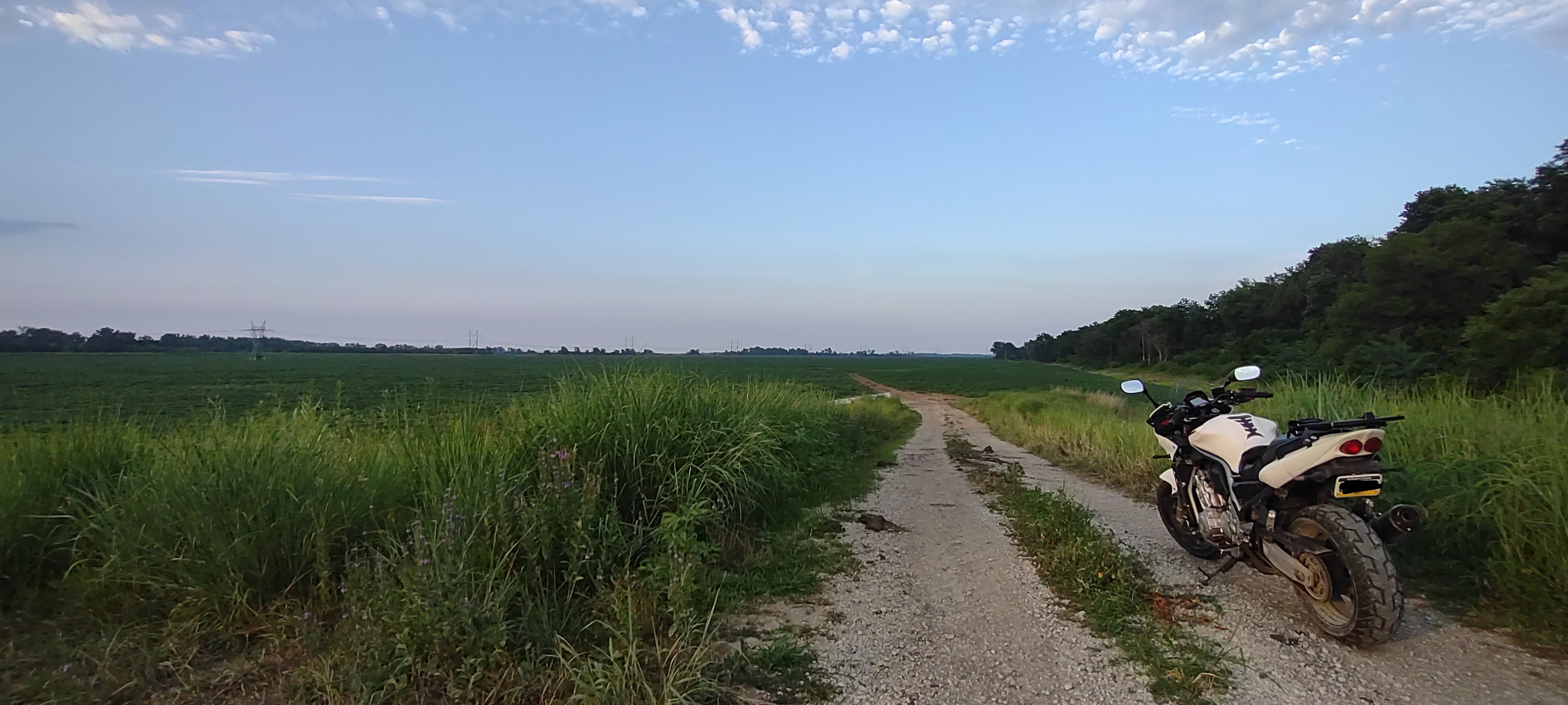 Photo 2823415