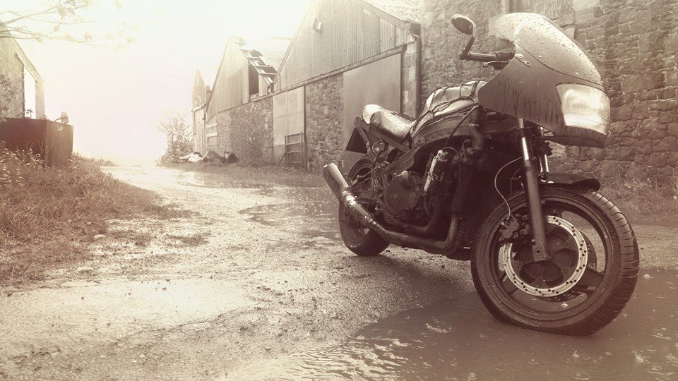 Photo 2823422