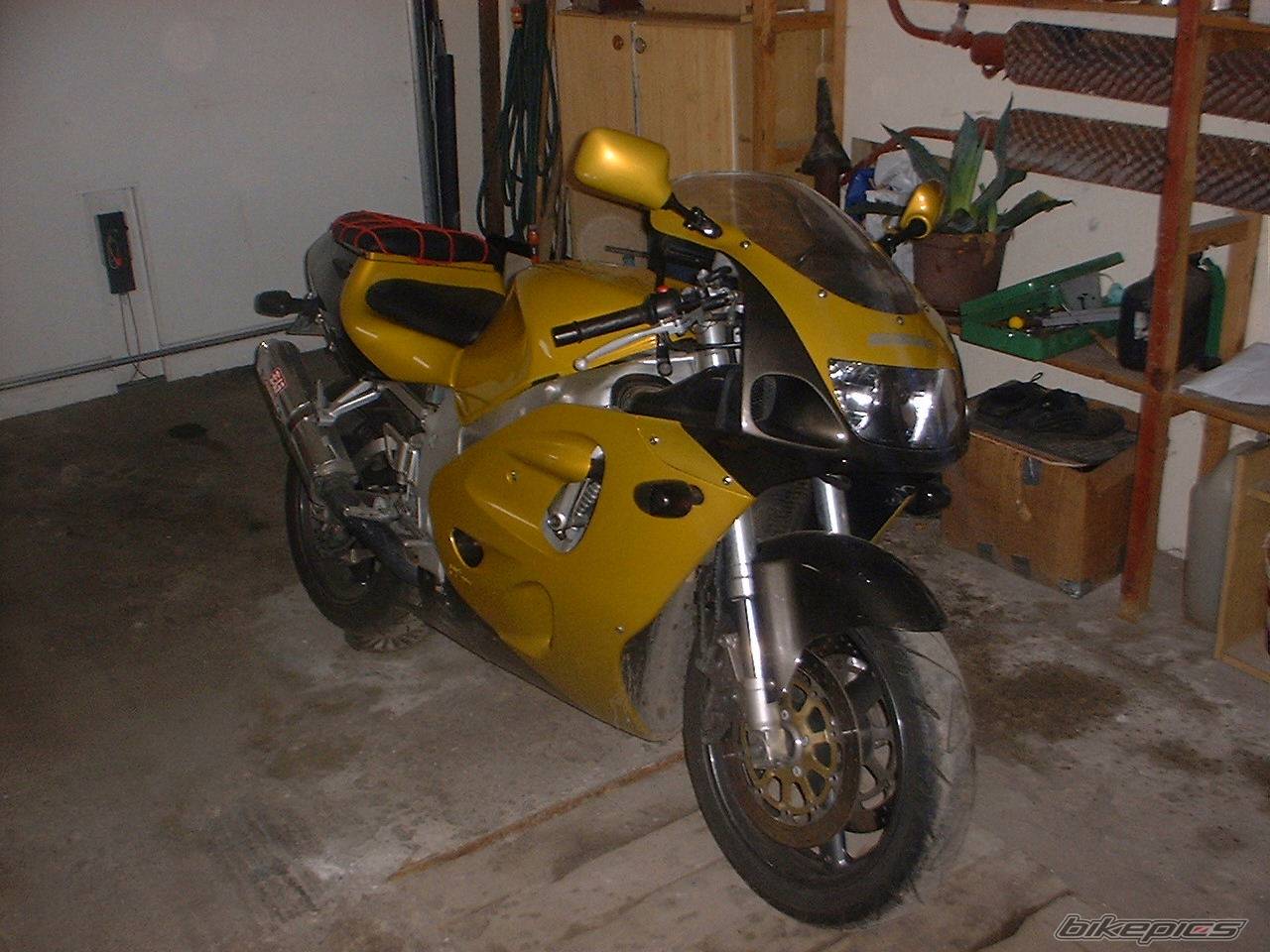 Photo 282344