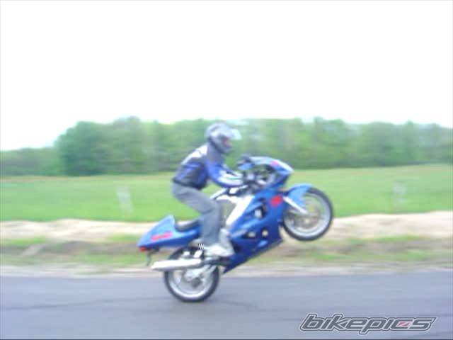 Photo 282356