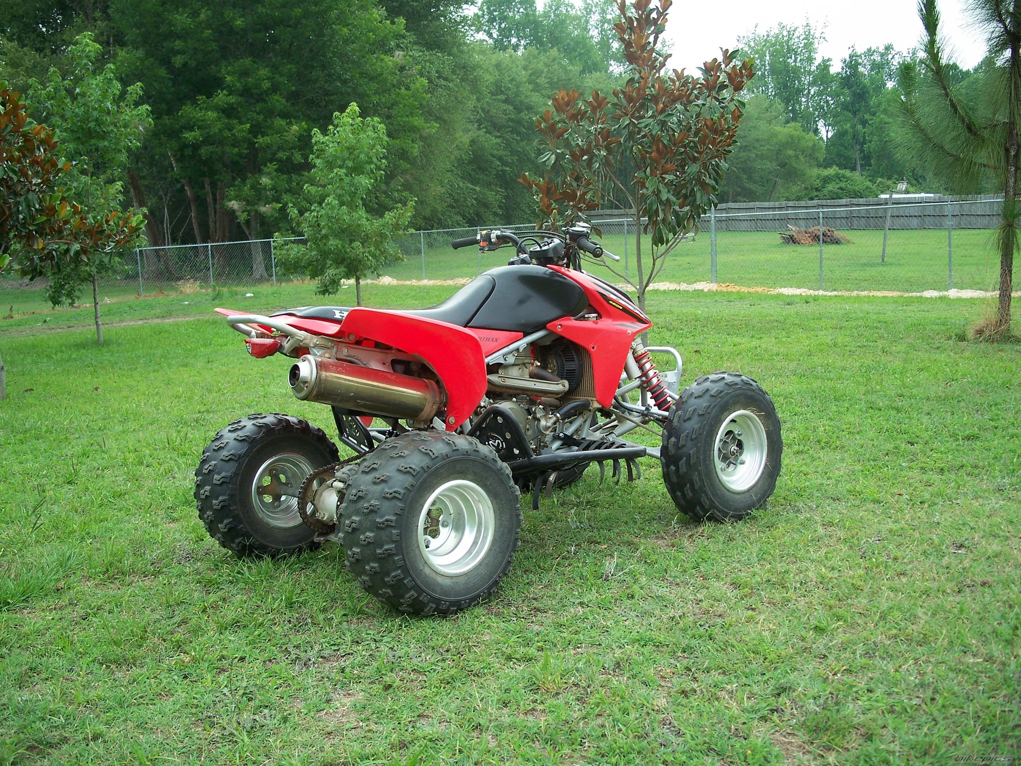 Photo 2823596