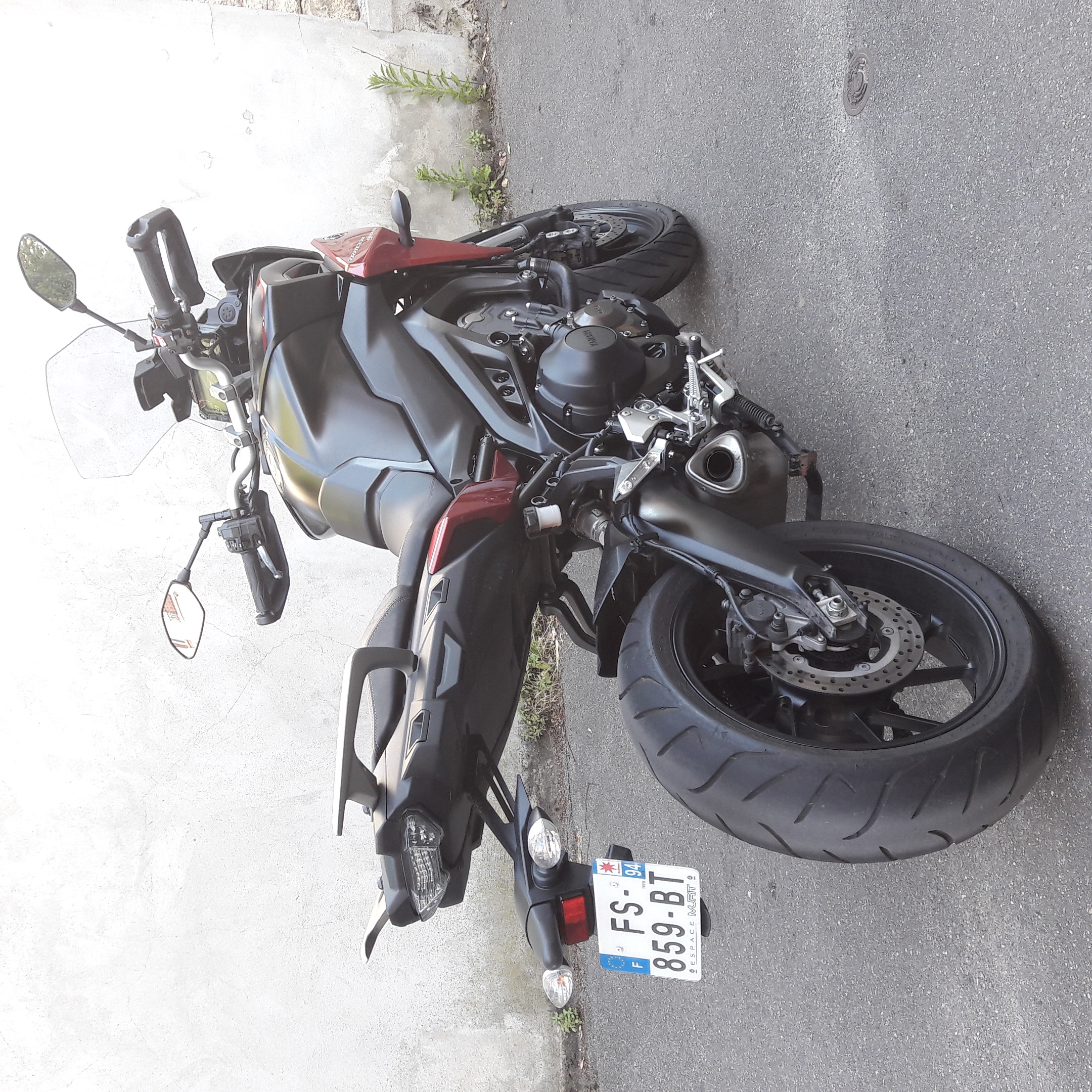 Photo 2823608
