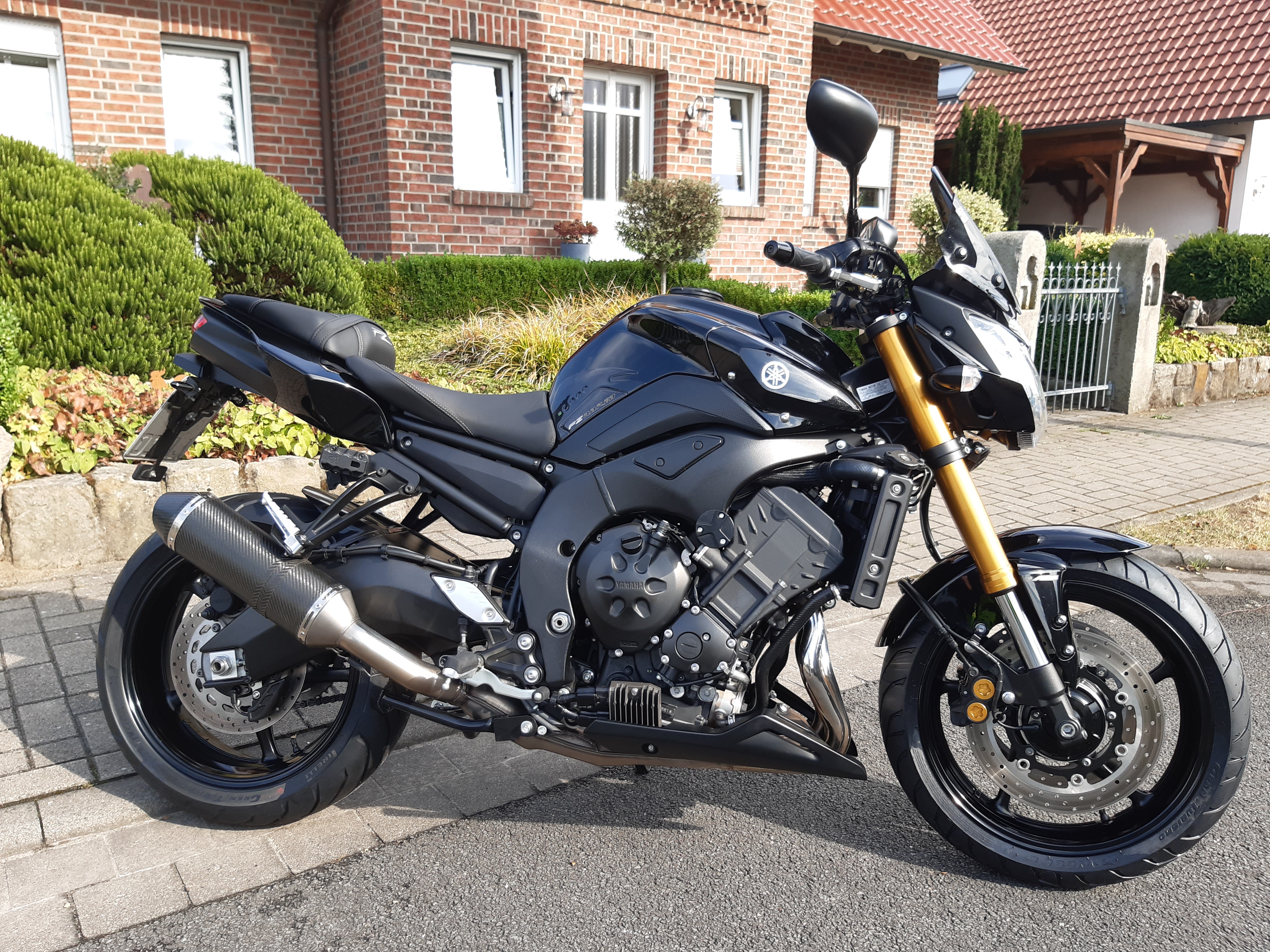 FZ 8