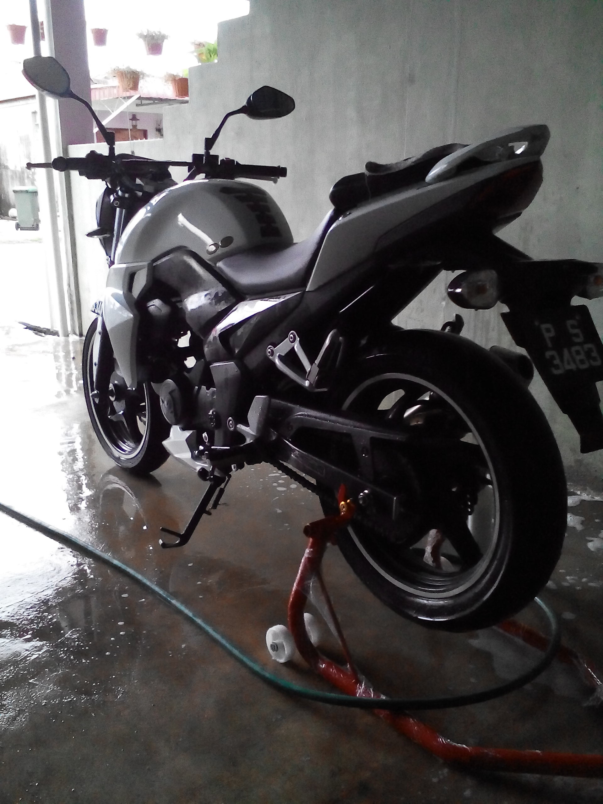 Photo 2824025