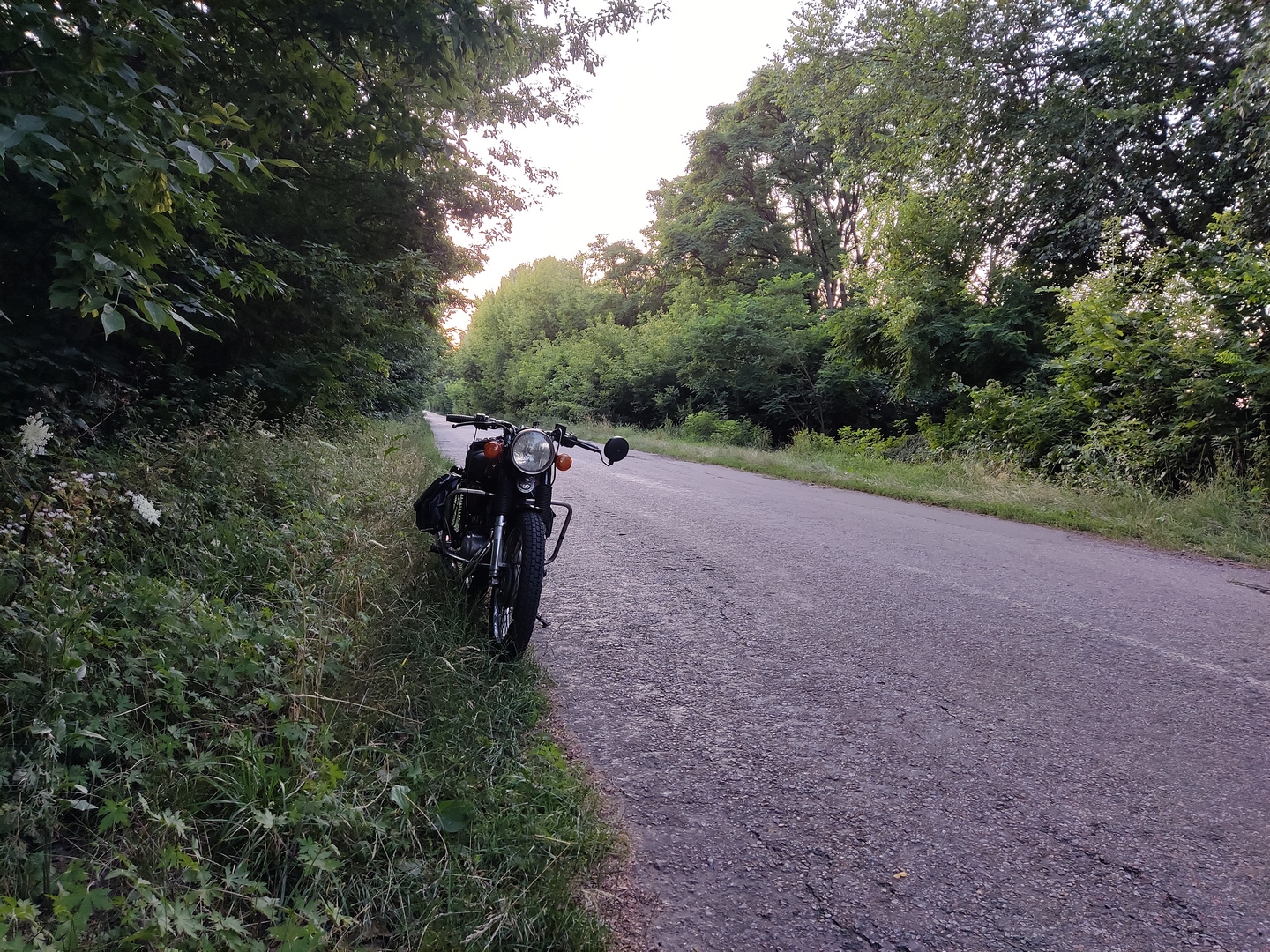 Bike Photo 2824214