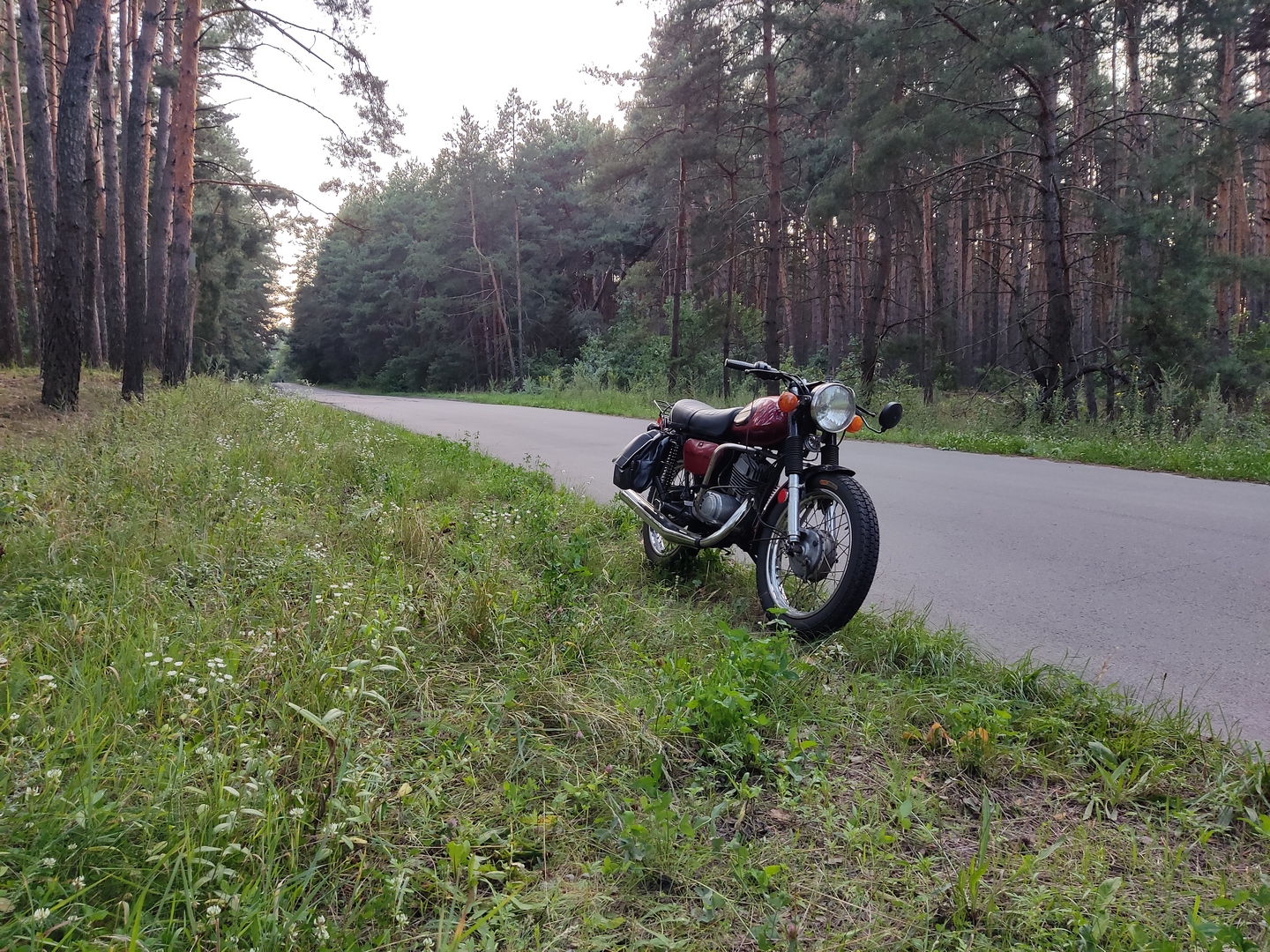 Bike Photo 2824240
