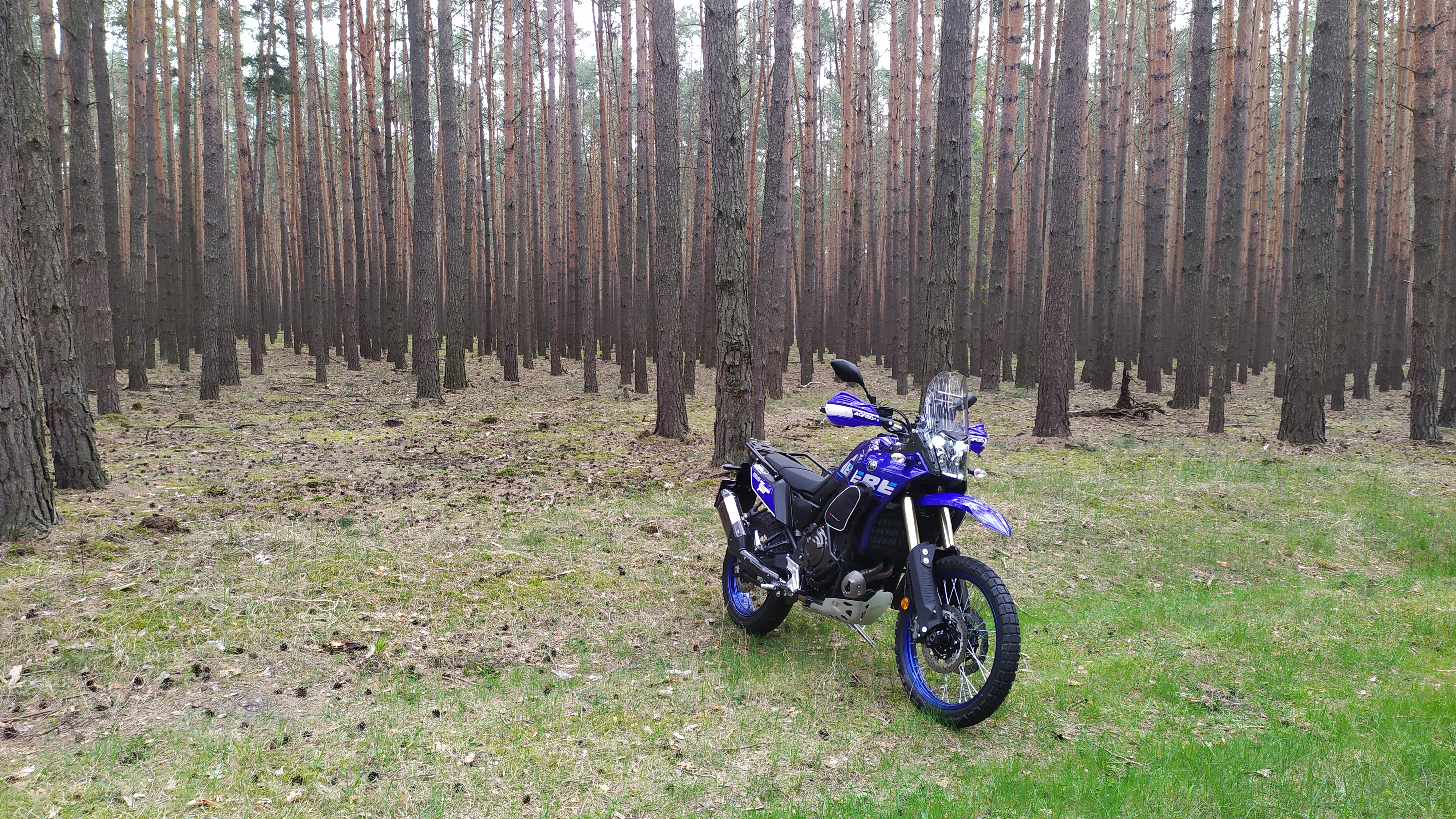 Photo 2824375