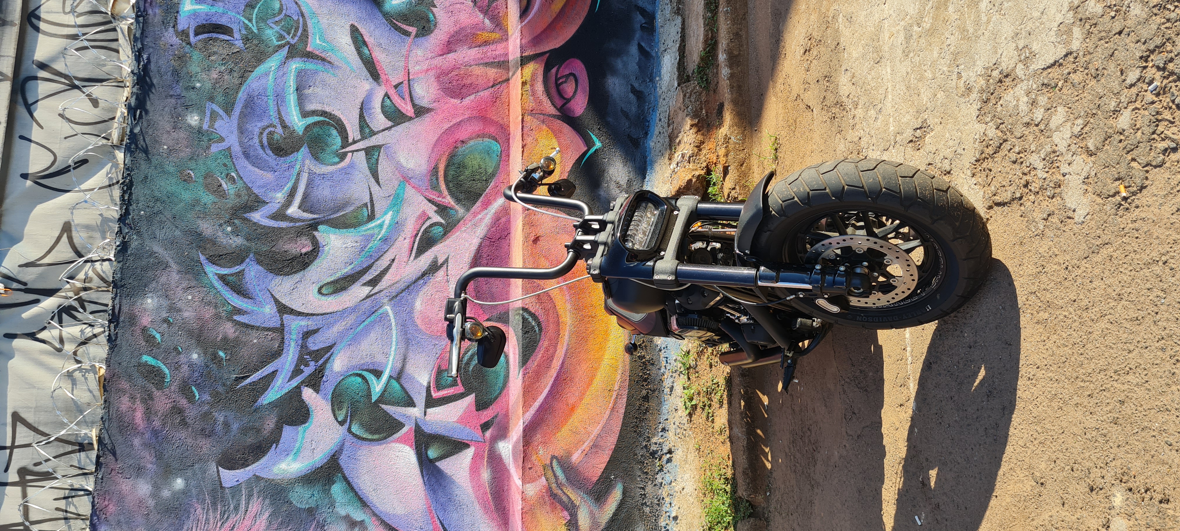 Photo 2824475