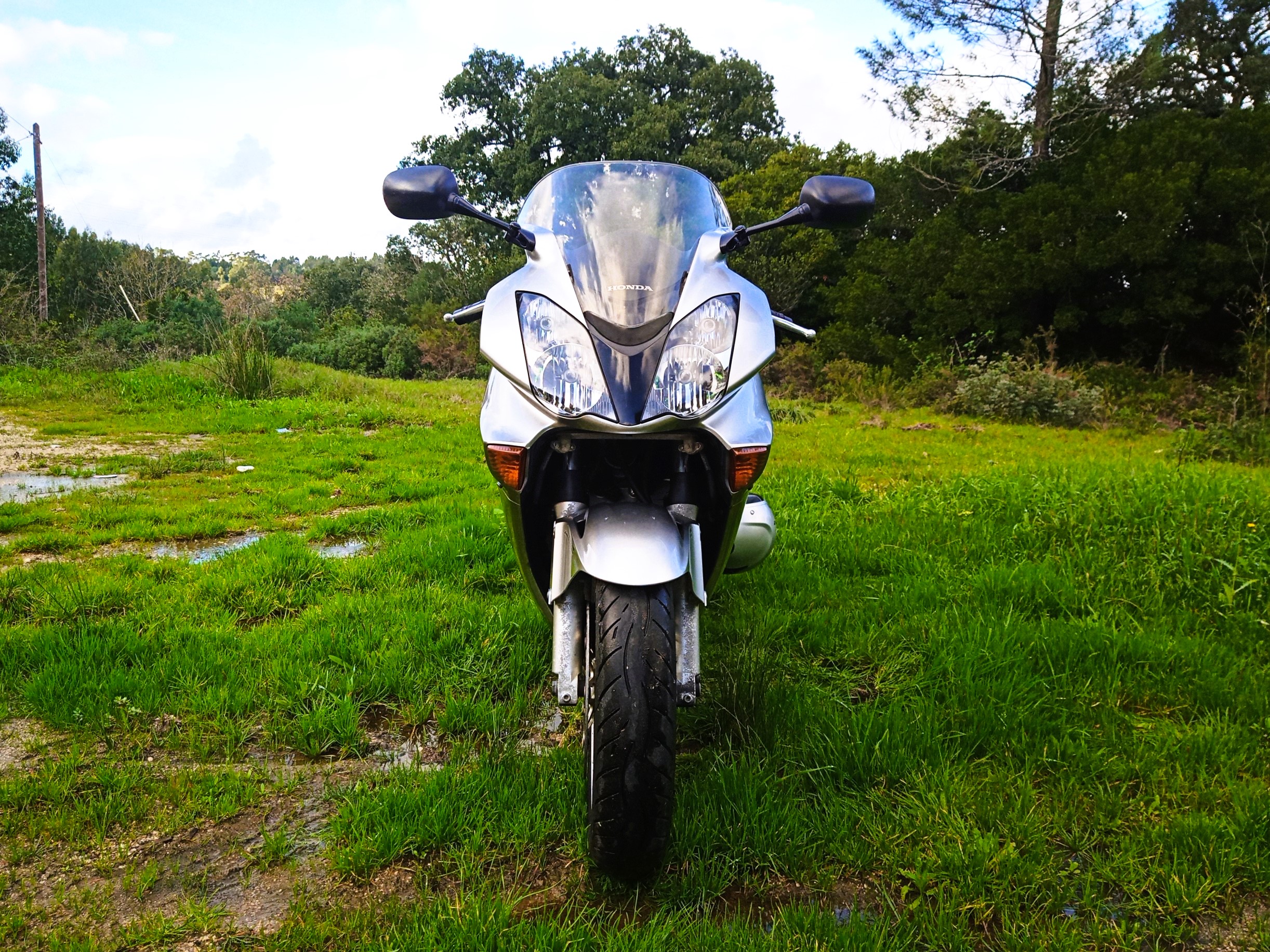 Photo 2824568