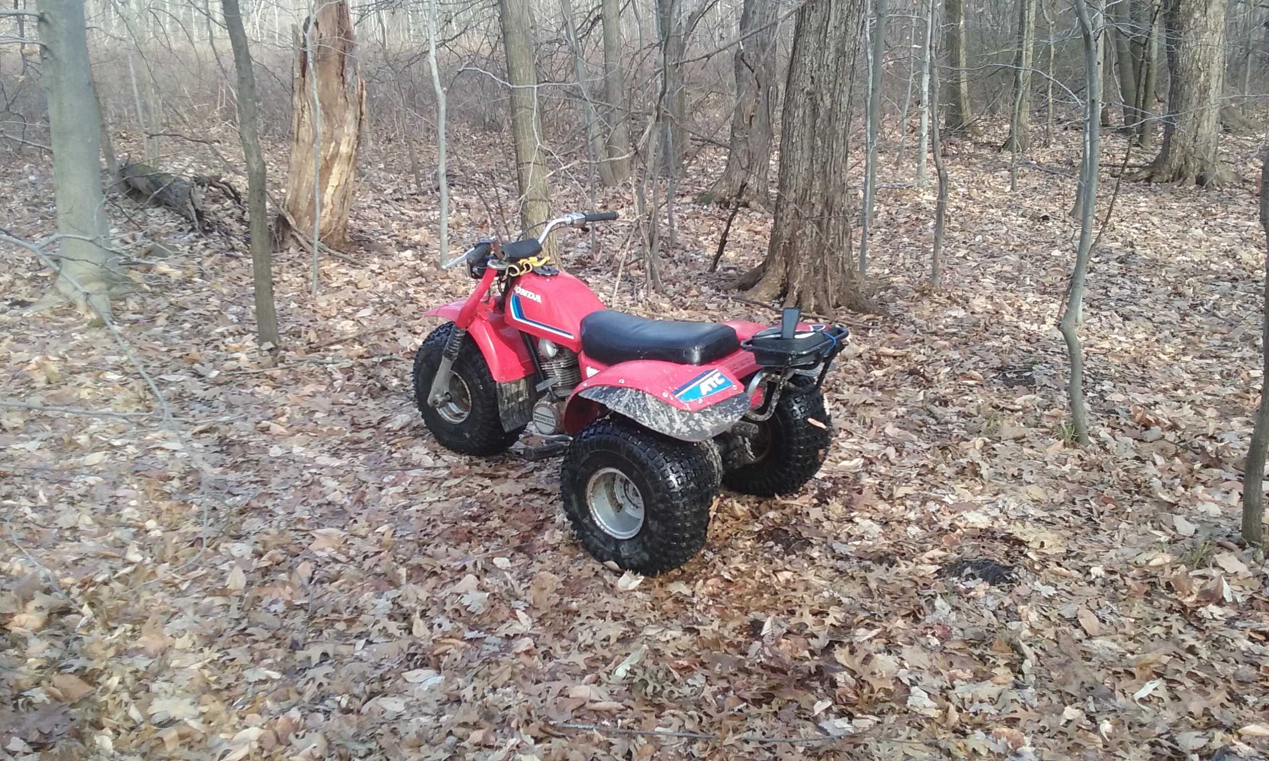 Photo 2824593