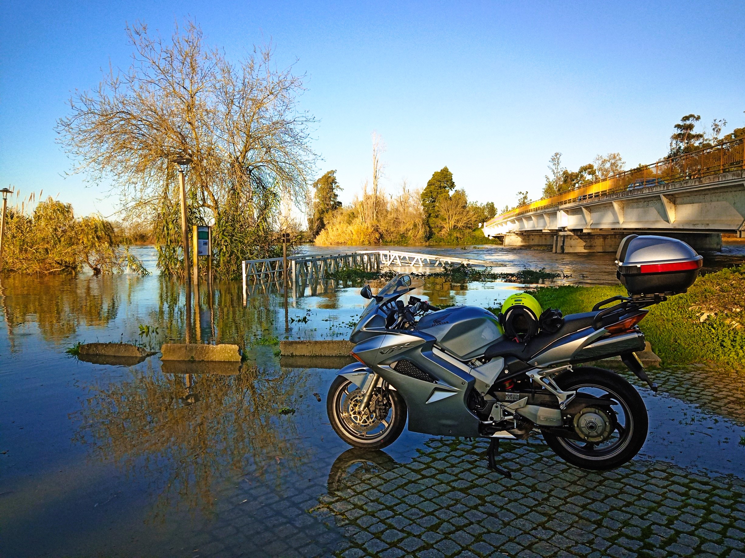Vfr 800 Vtec