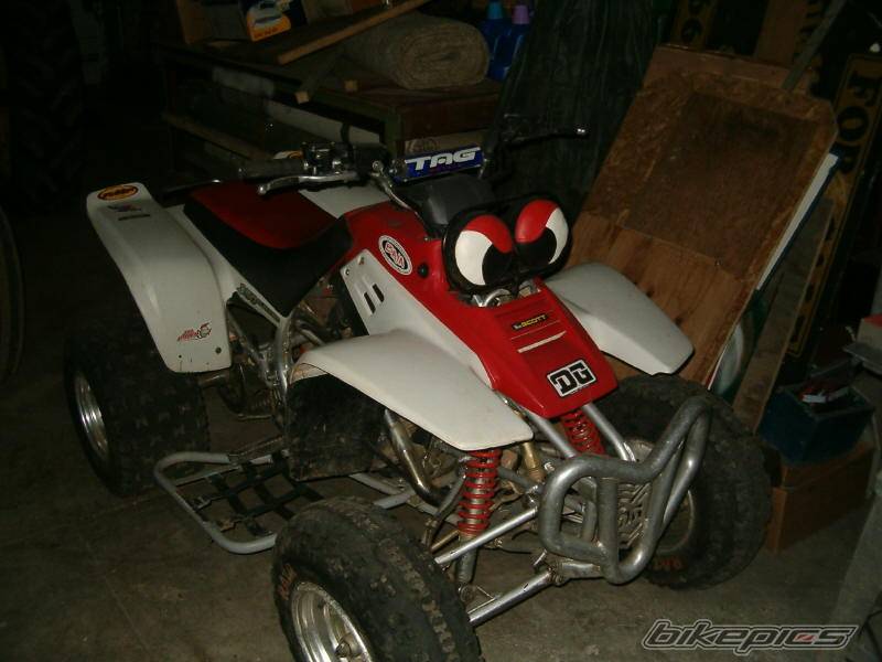 Photo 282471