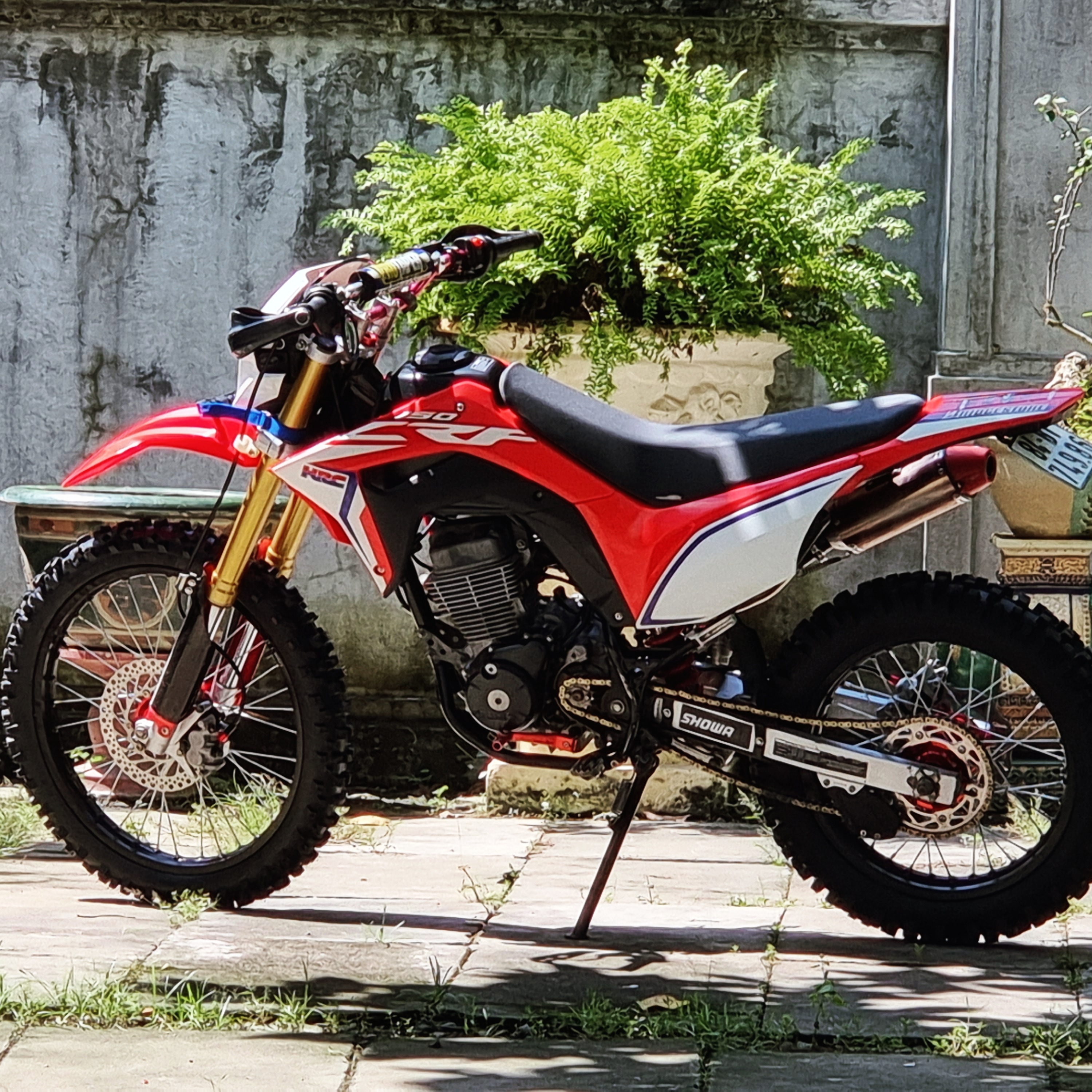 Photo 2824793