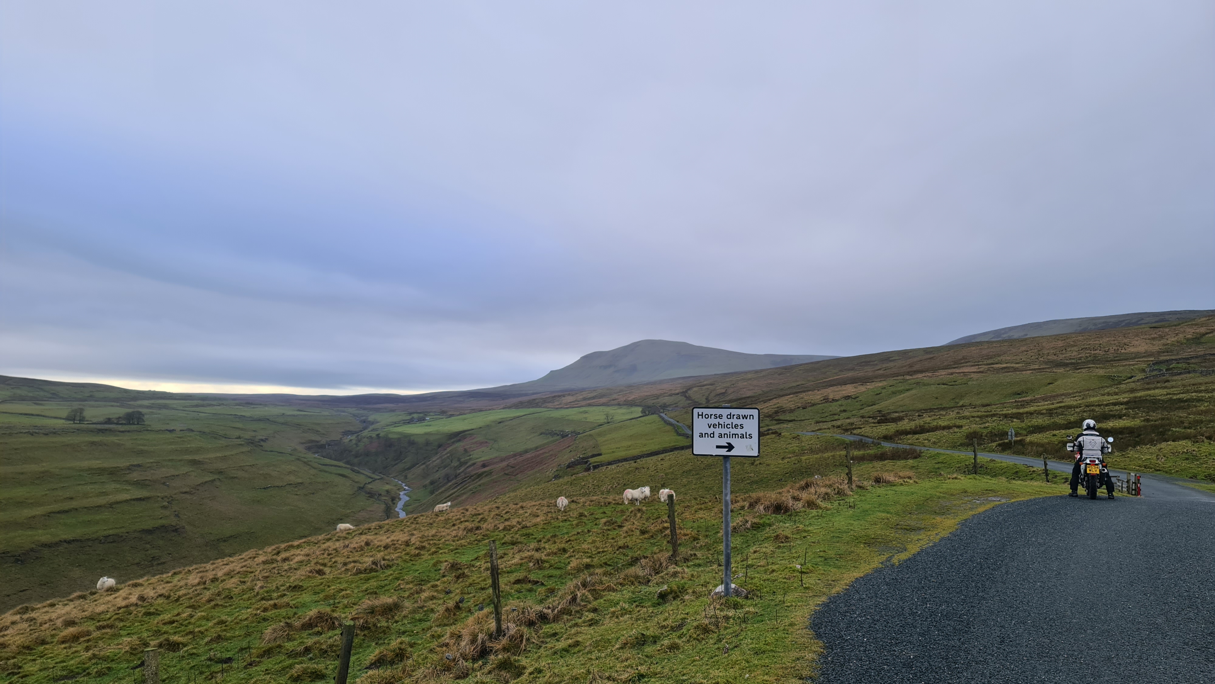 Photo 2824890