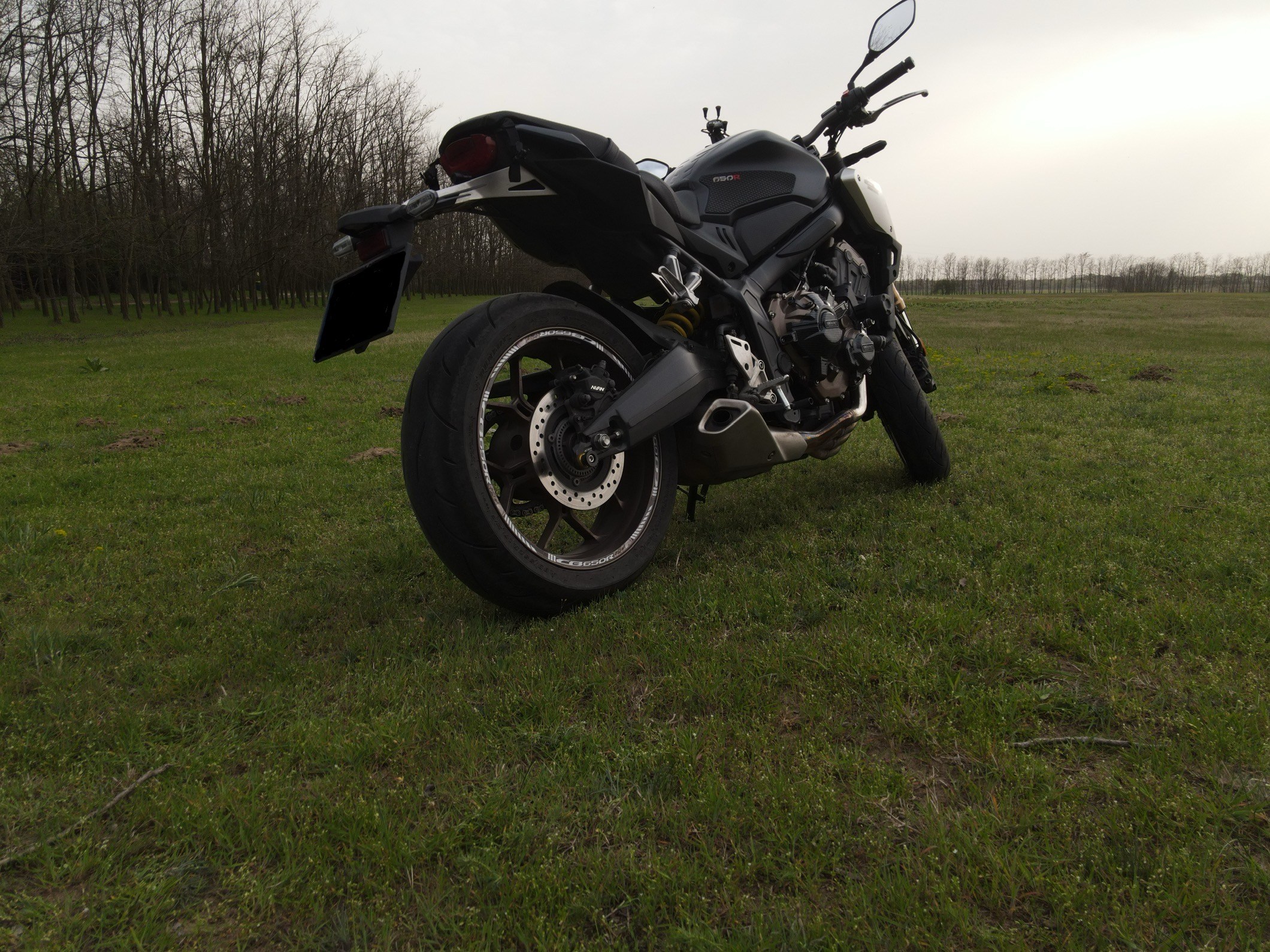 Photo 2824943
