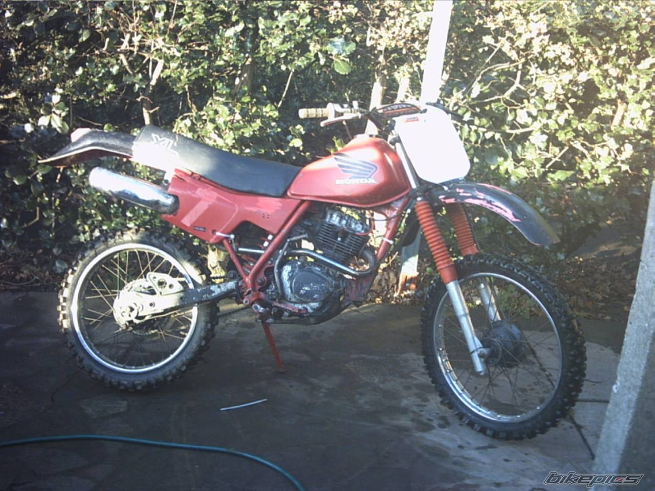 Photo 282507