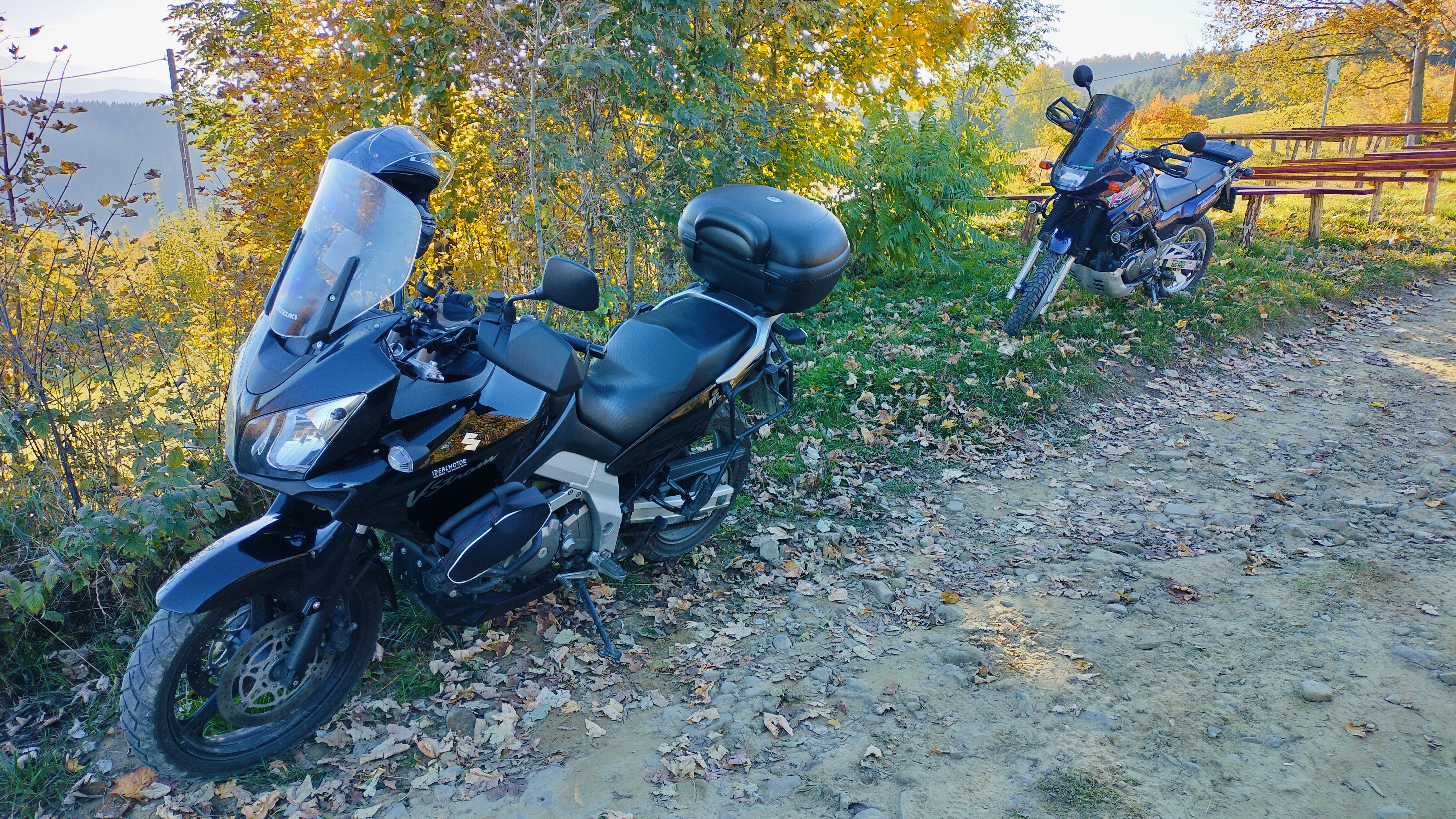 Photo 2825075