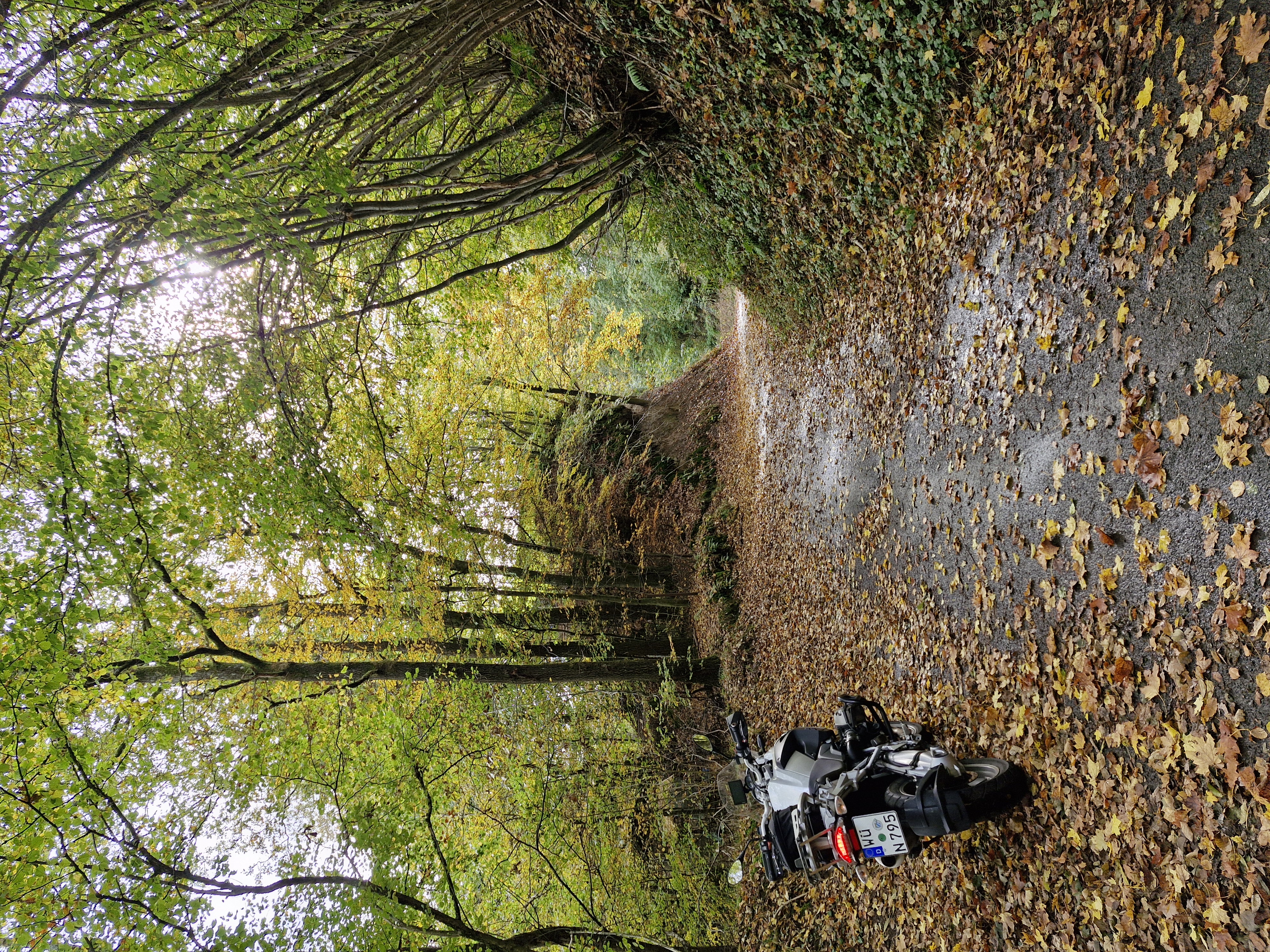 Photo 2825077