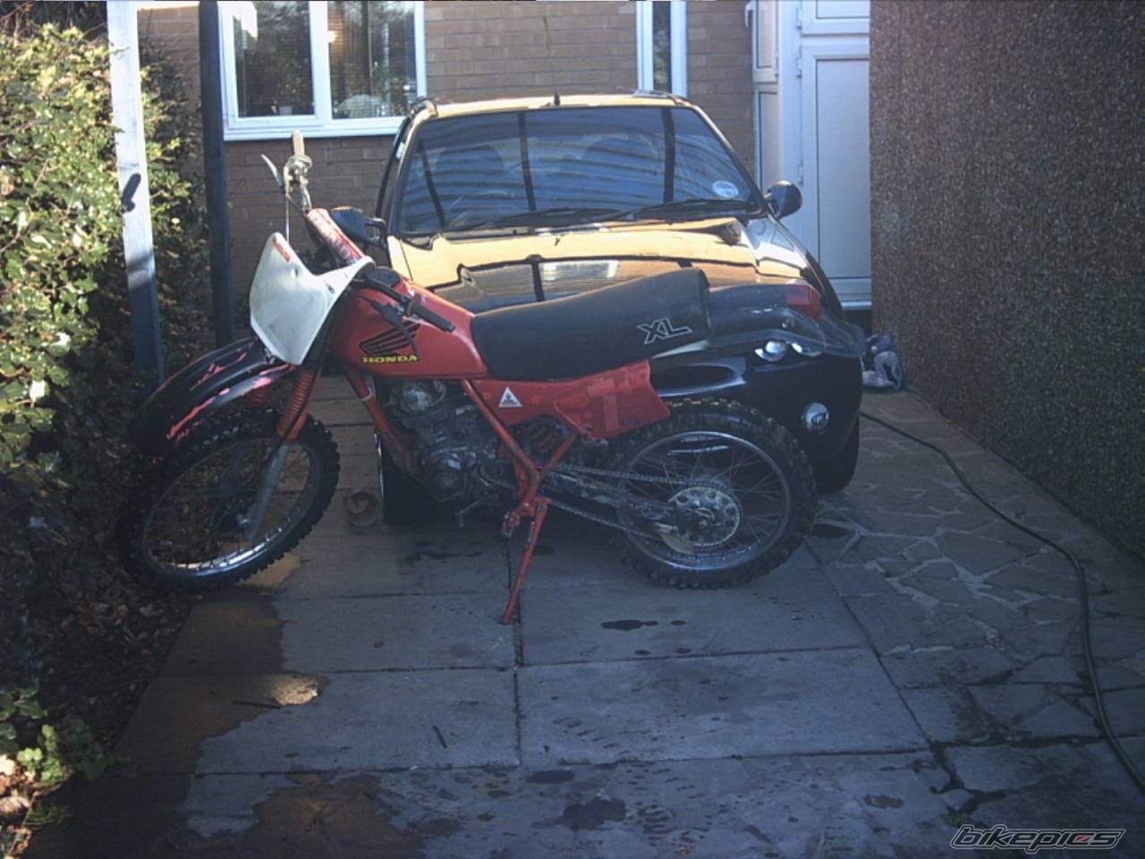 Photo 282509