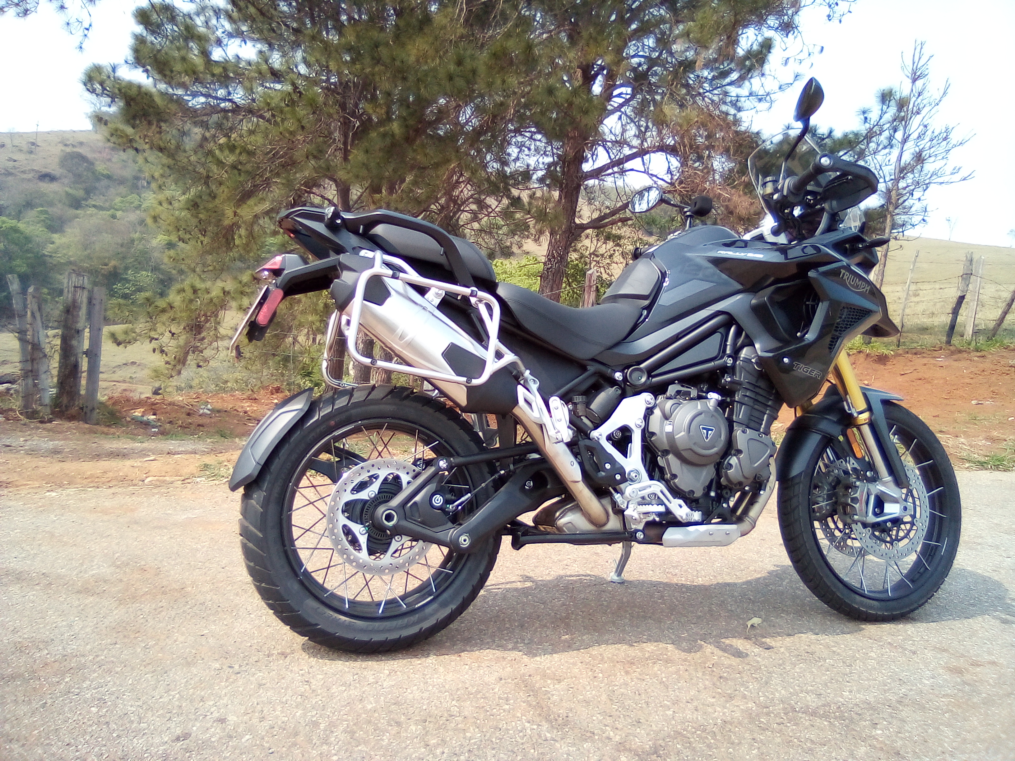 Tiger 1200 Rally Black Edition