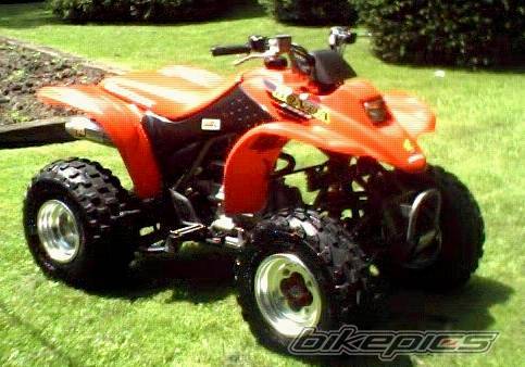 Photo 28253