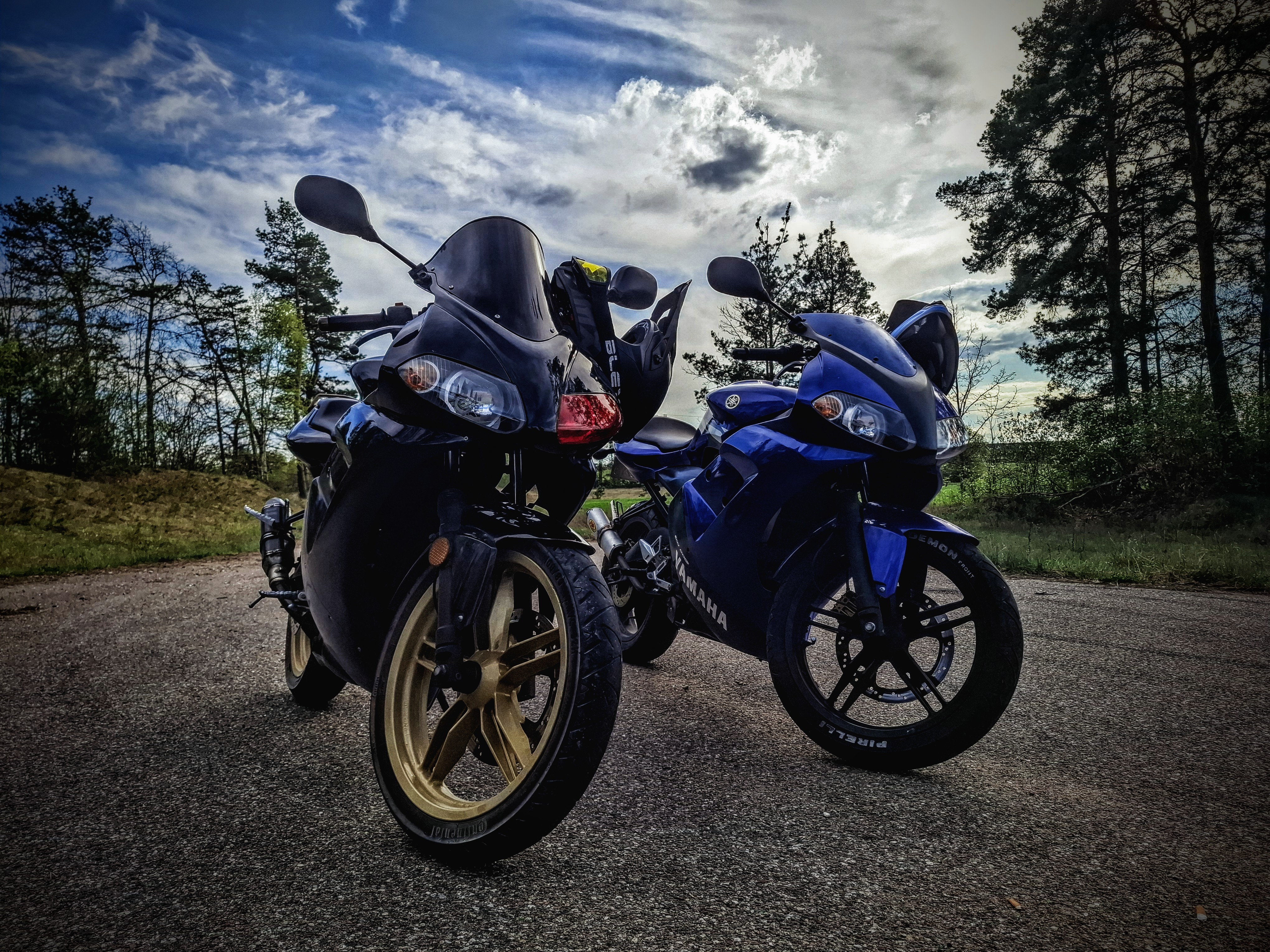 Photo 2825346