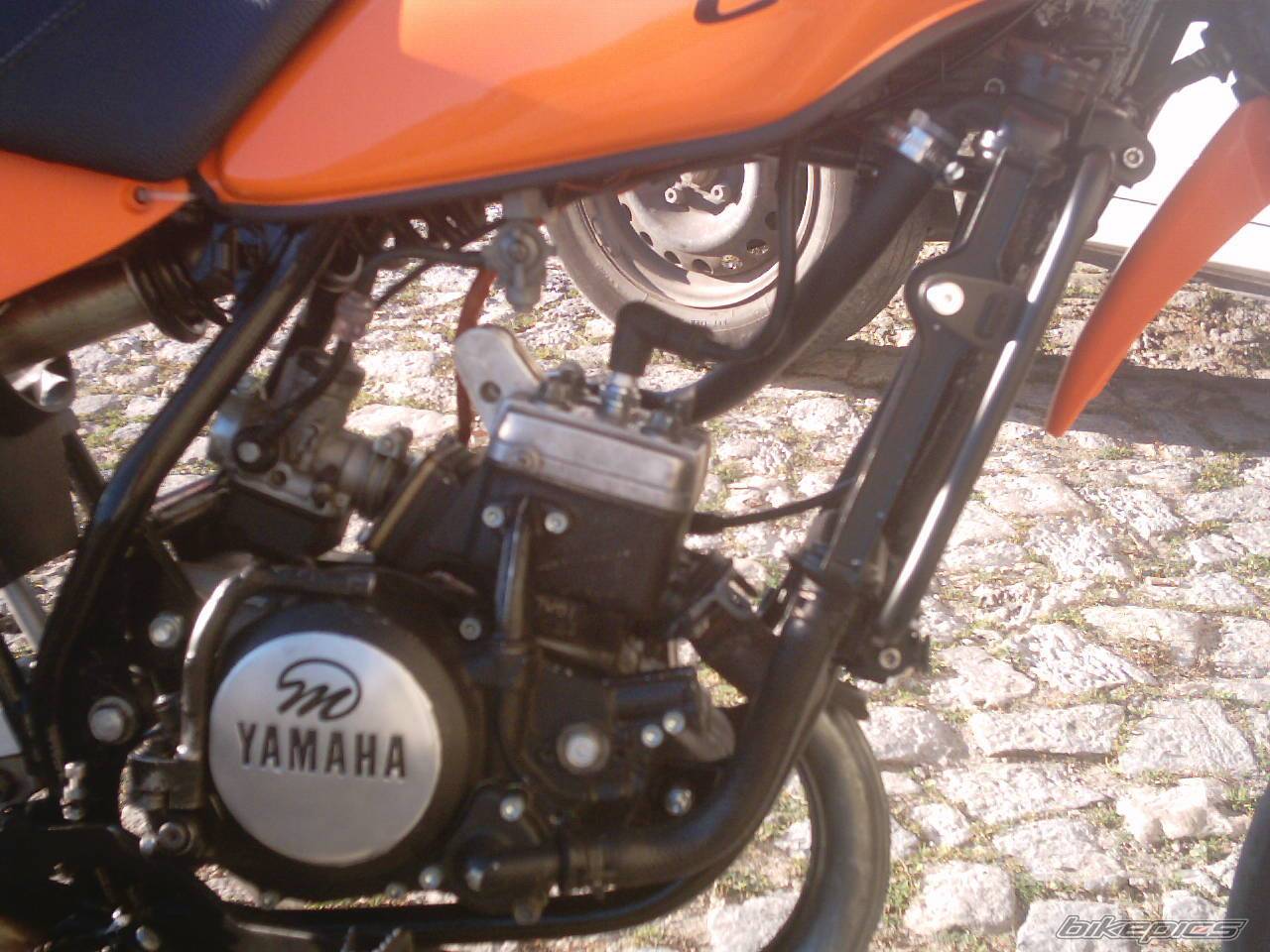Bike Photo 282536