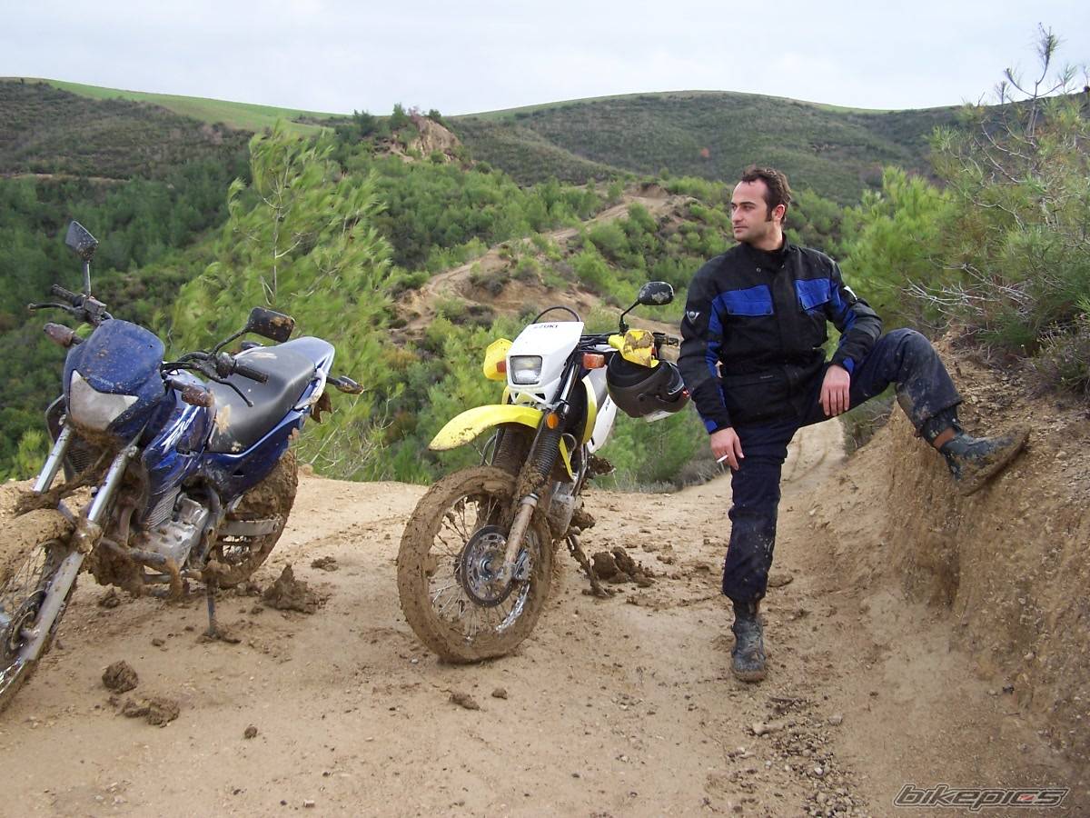 Bike Photo 282538
