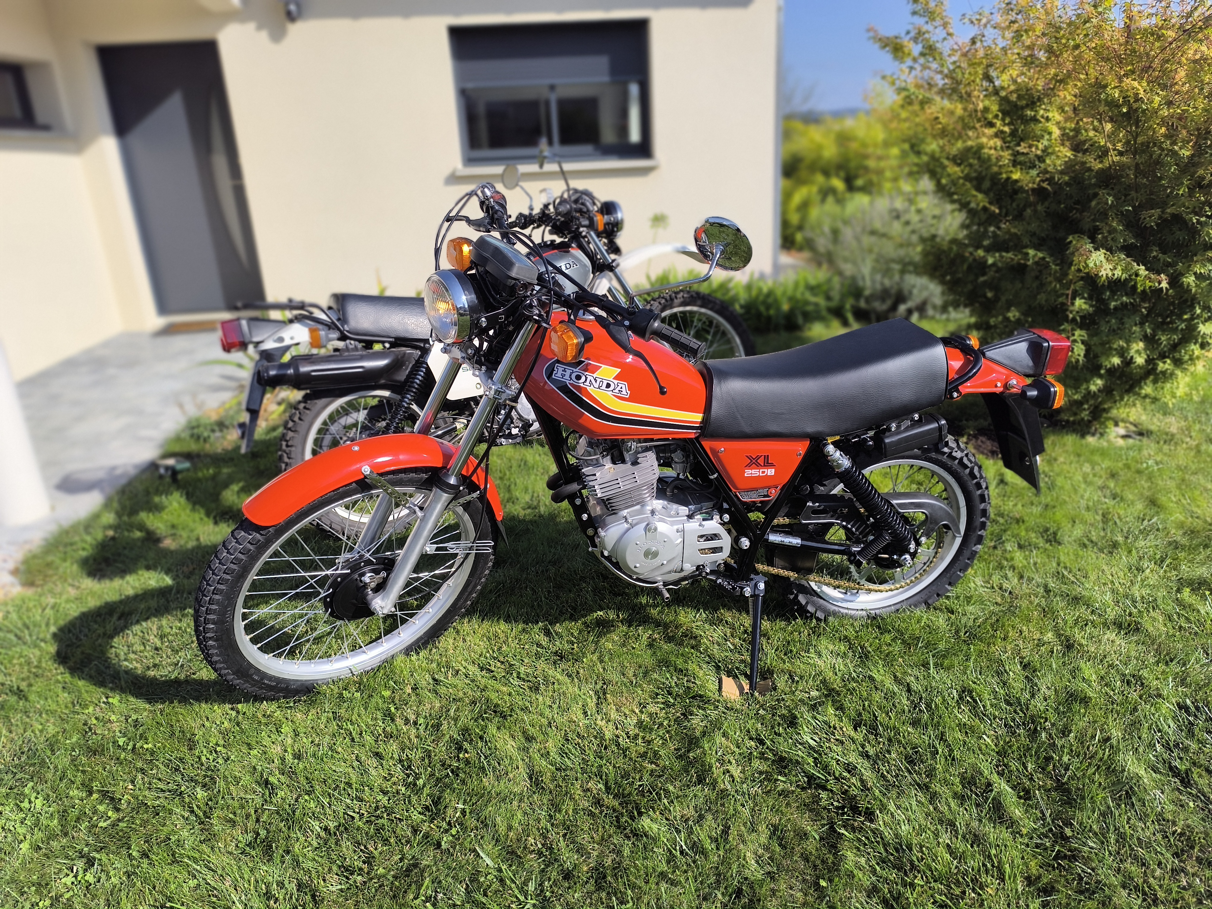 XL 250