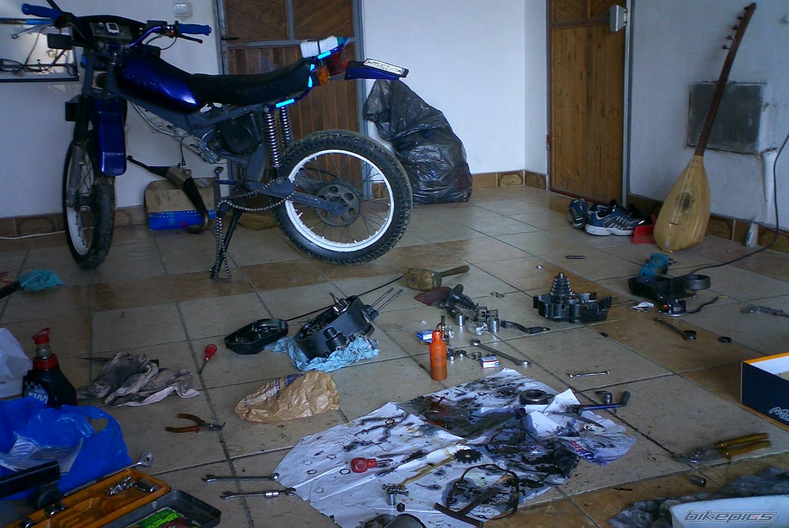 Photo 282560