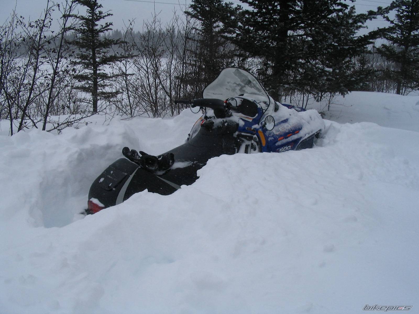 Photo 282567