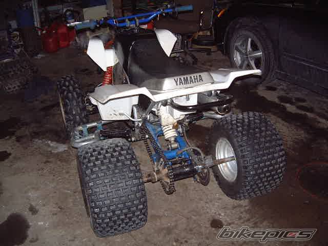 Photo 282577