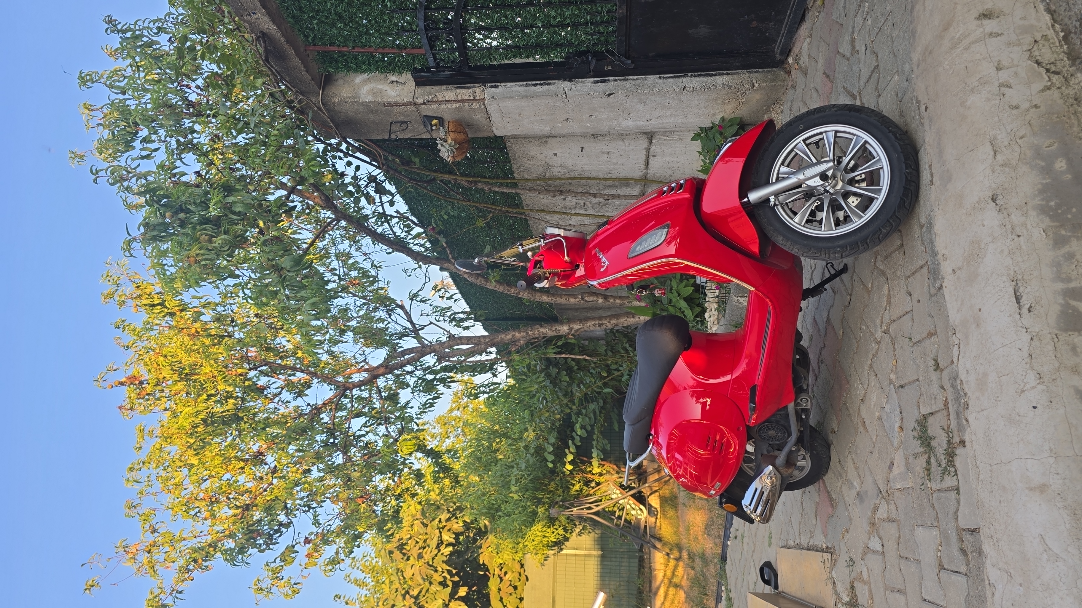 Photo 2825785