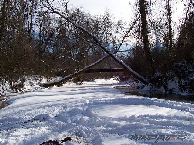 Photo 282601